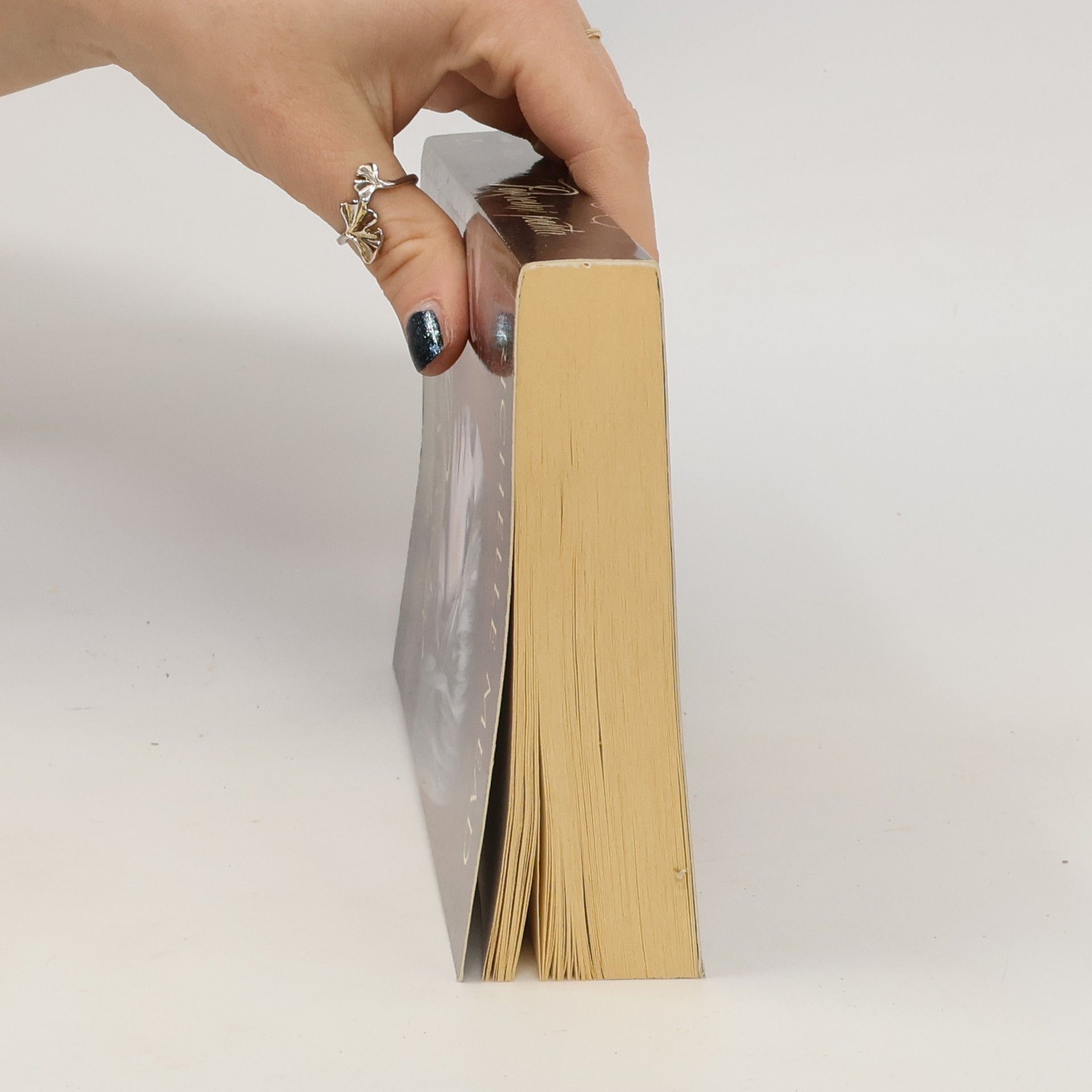 Richelle Mead Pokrevní pouta. 1. díl