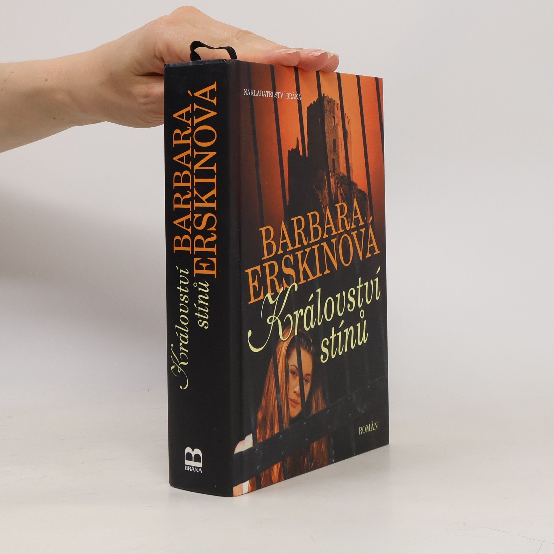 Barbara Erskine Království stínů : román