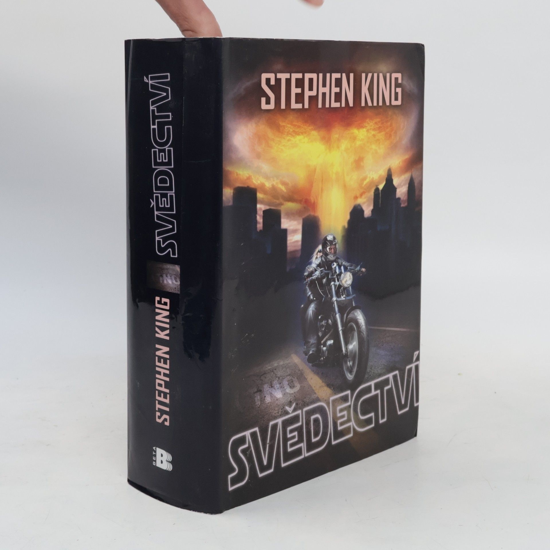 Stephen King Svědectví