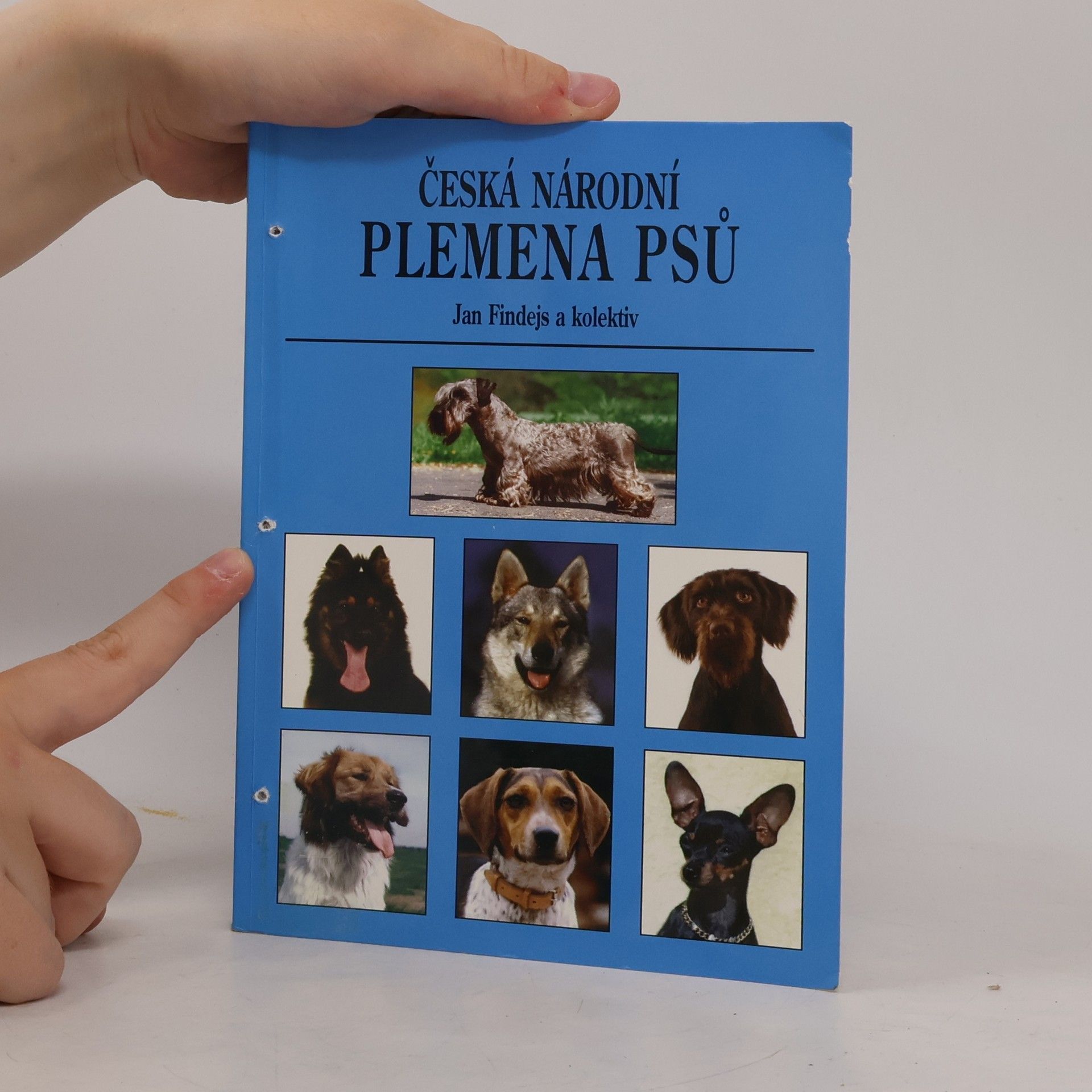 Jan Findejs Česká národní plemena psů : historie a vznik plemen, standard, vlastnosti a využití