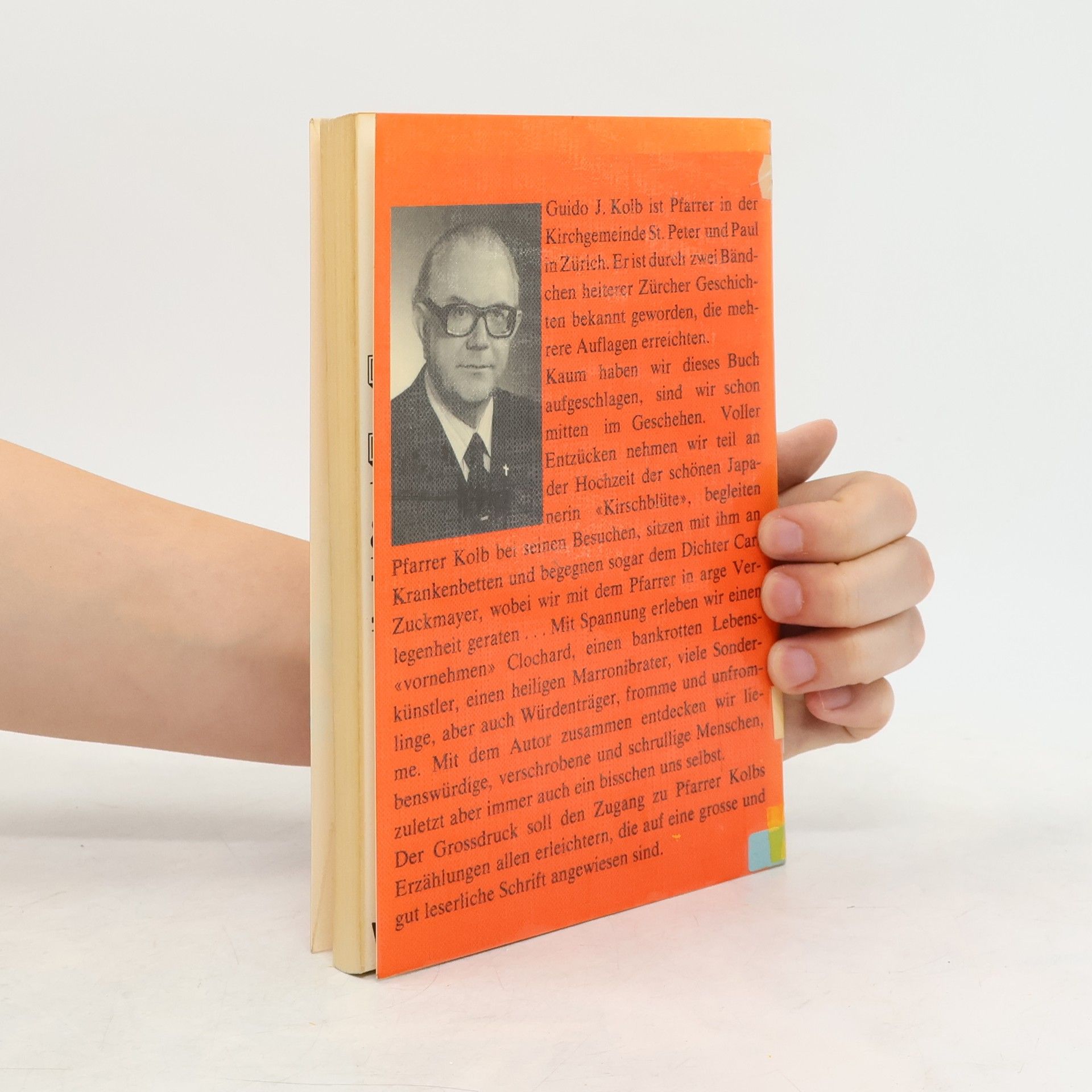 Guido Kolb Im Schatten der Zürcher Kirchtürme