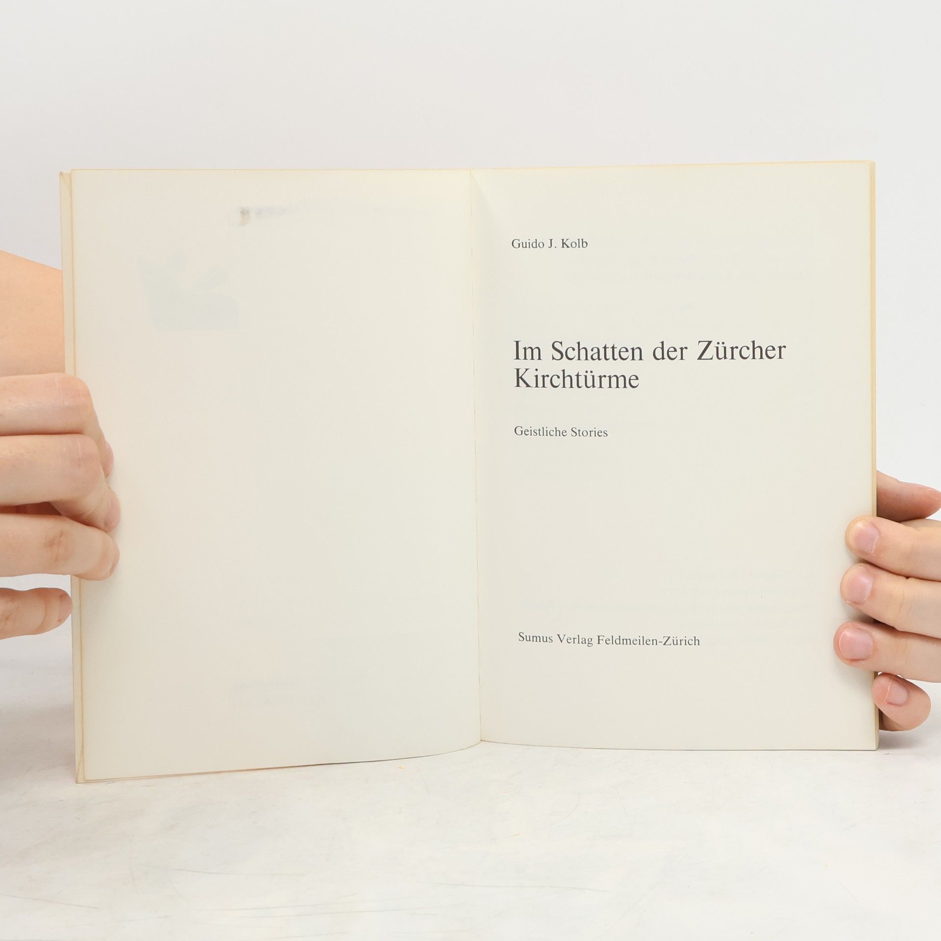 Guido Kolb Im Schatten der Zürcher Kirchtürme