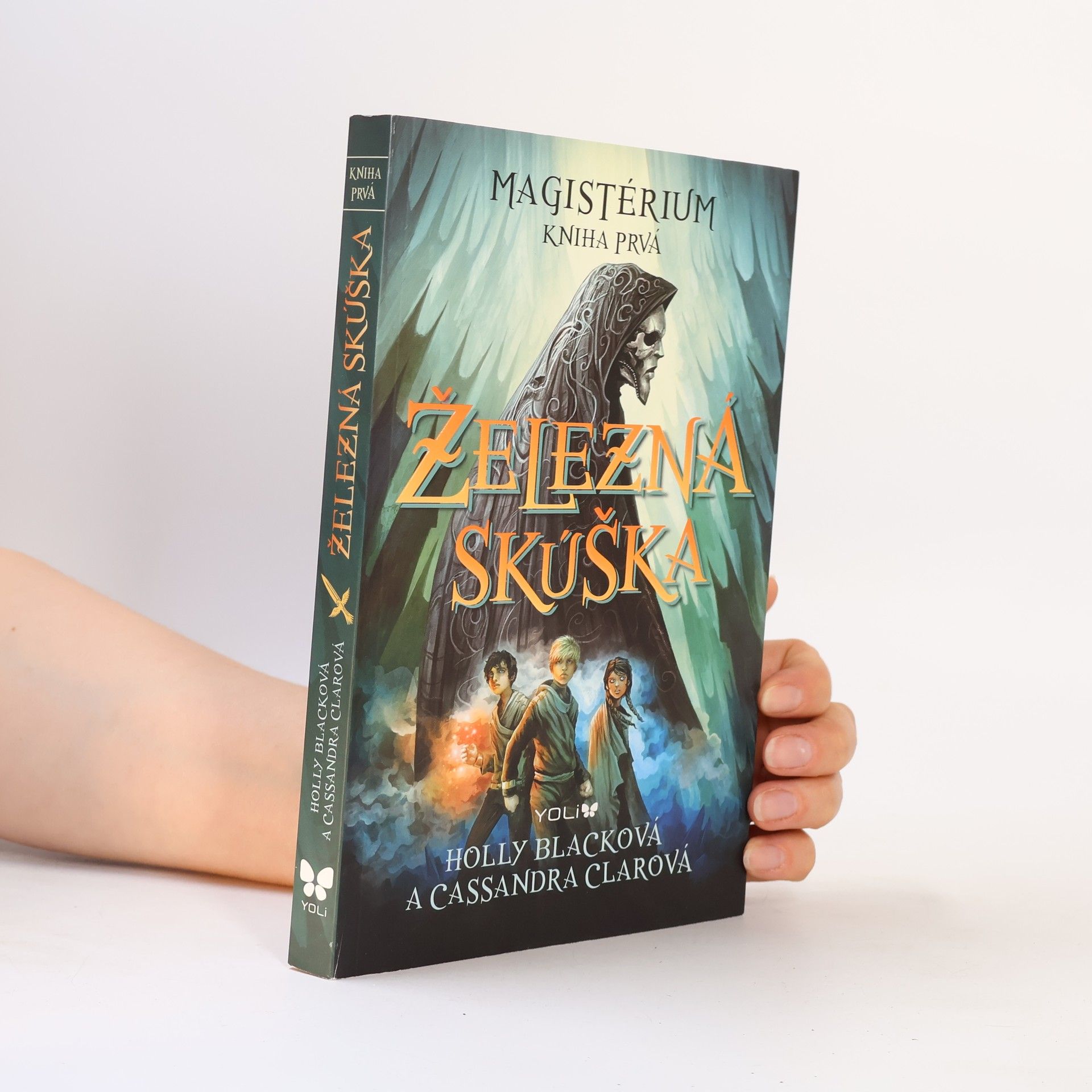 Holly Black Železná skúška