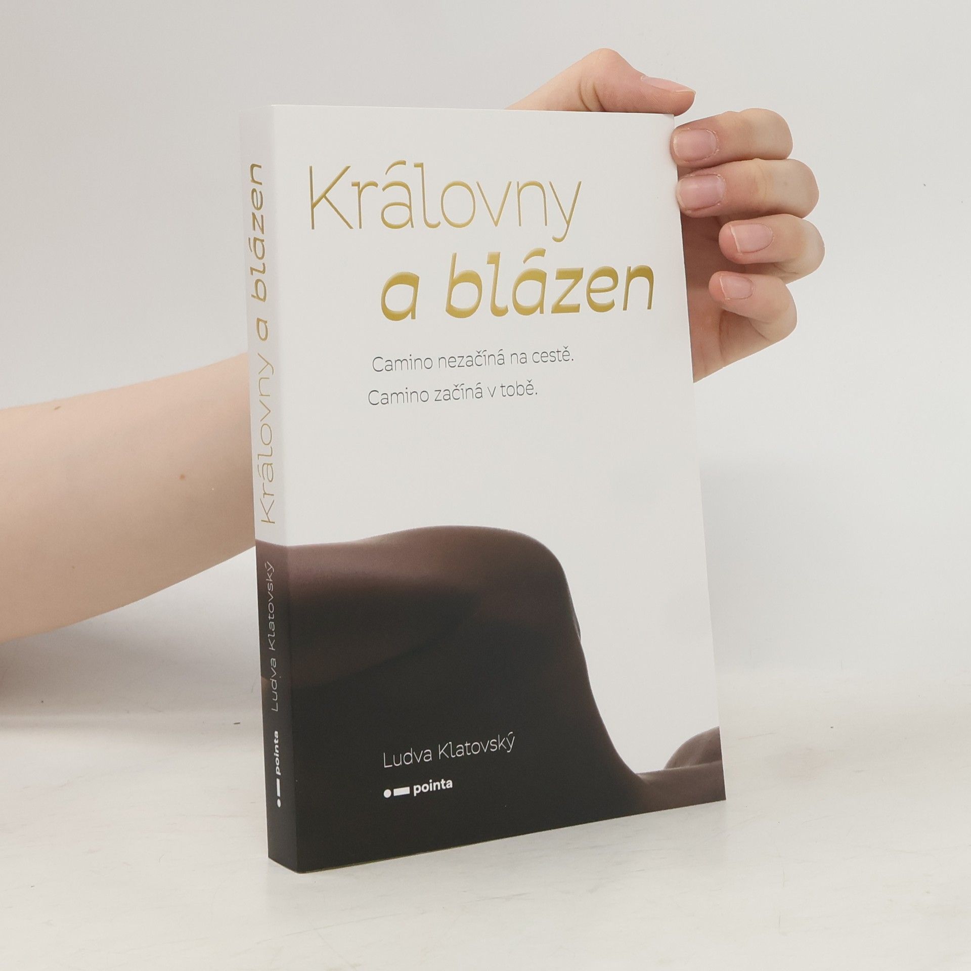 Ludva Klatovský Královny a blázen