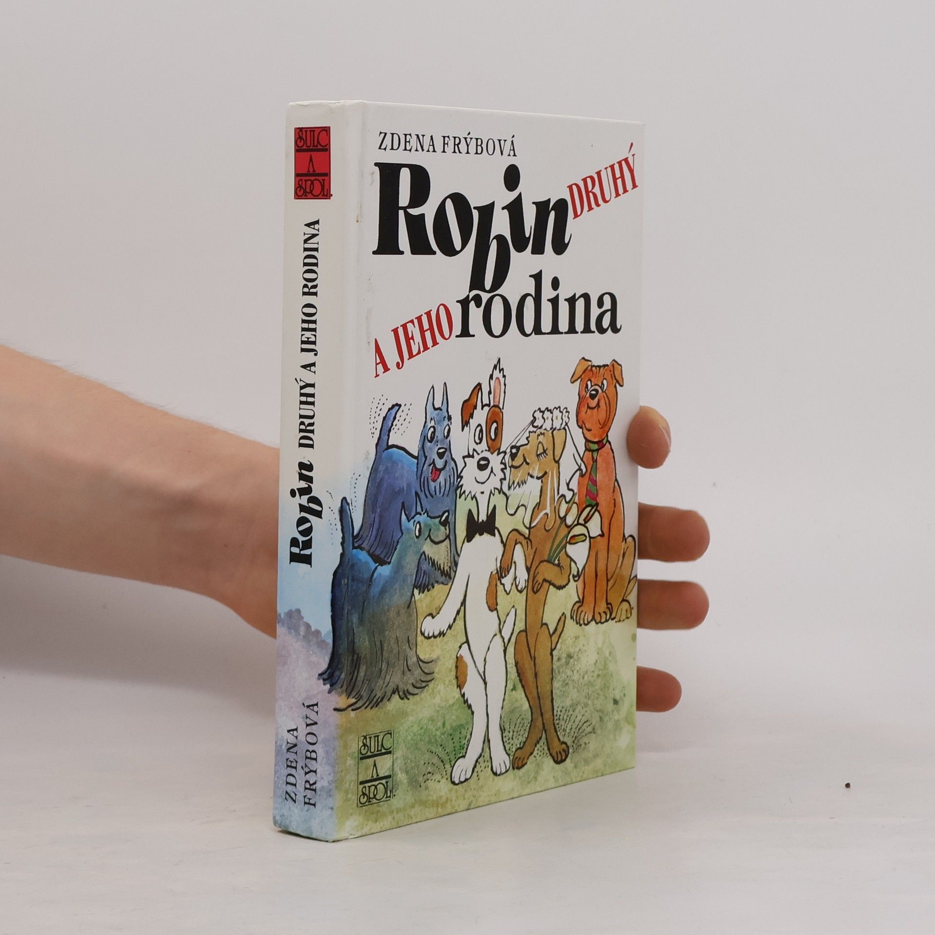 Zdena Frýbová Robin Druhý a jeho rodina