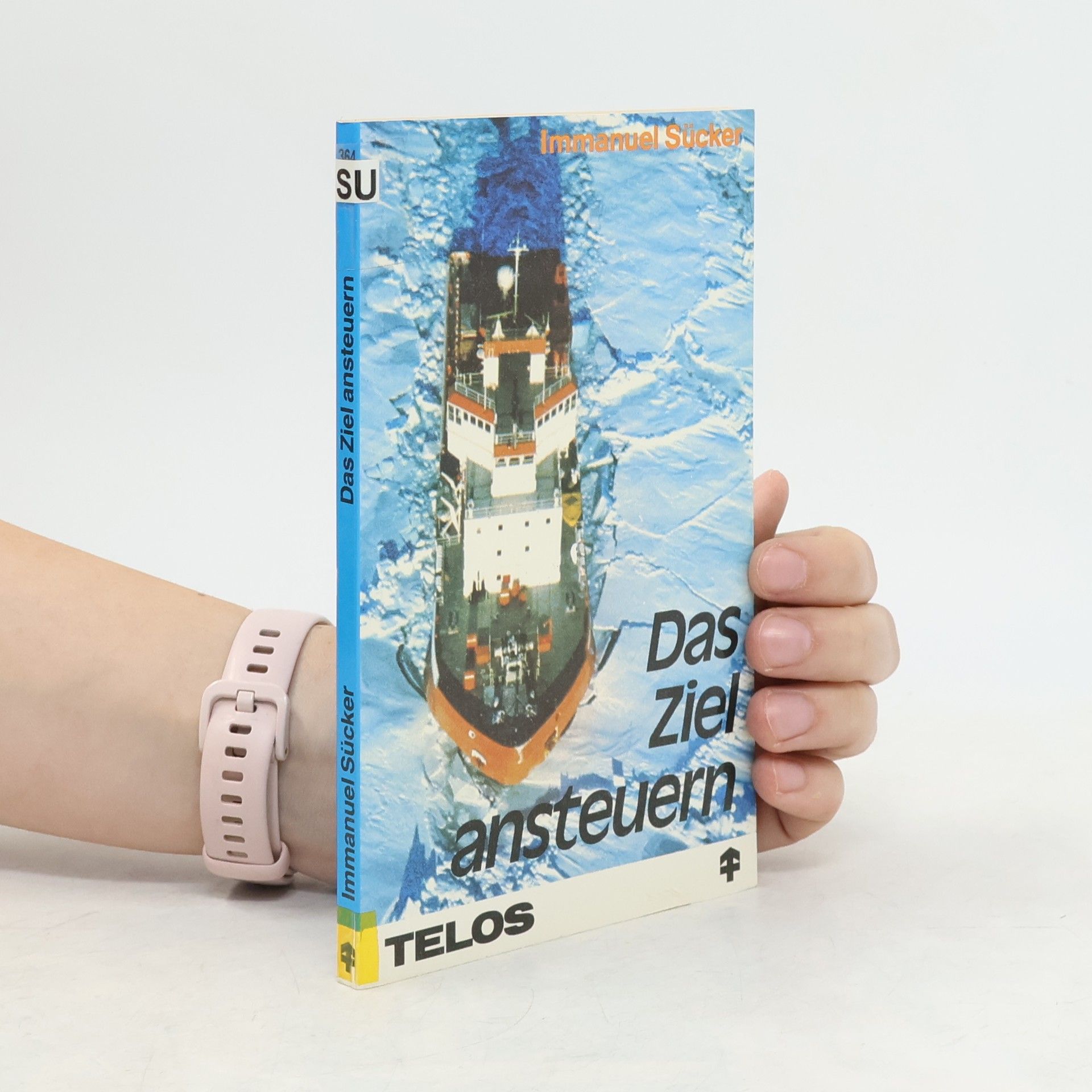 Immanuel Sücker Das Ziel ansteuern