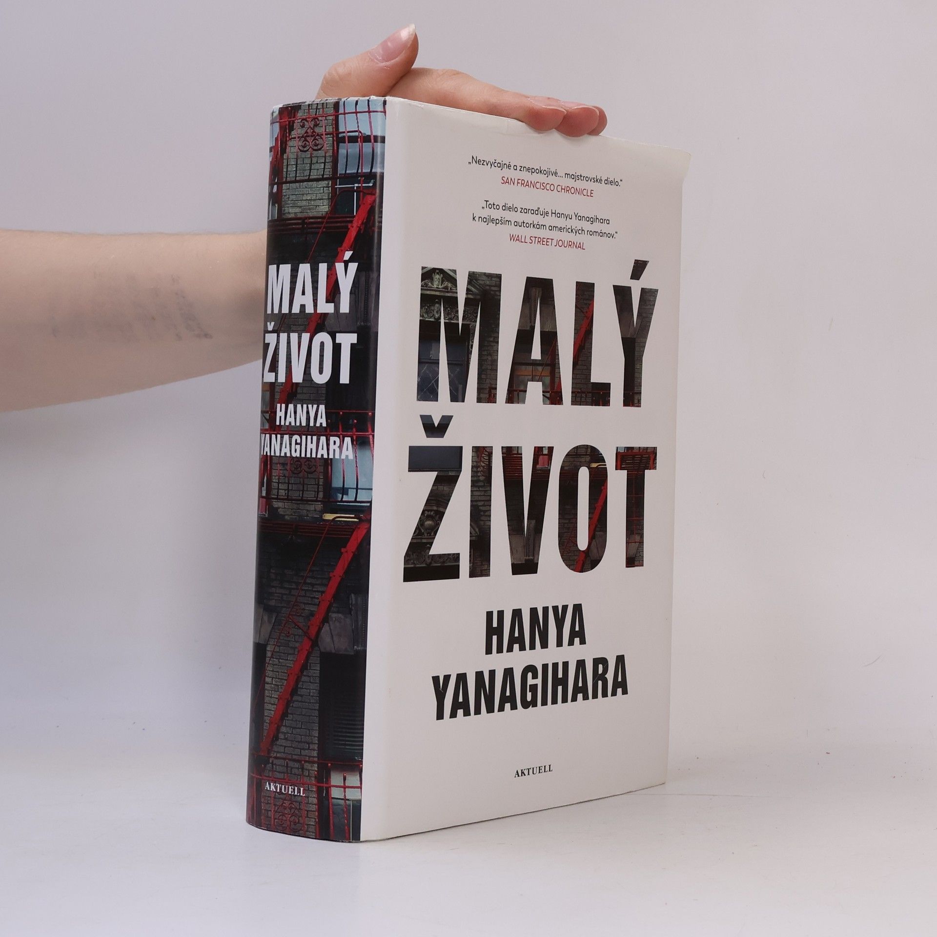 Hanya Yanagihara Malý život