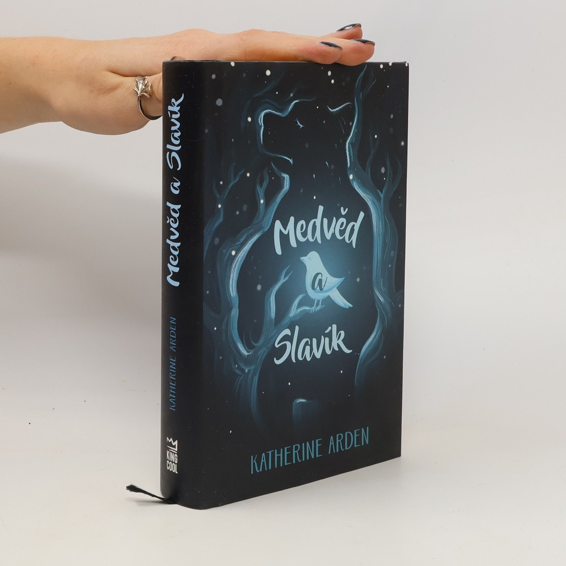 Katherine Arden Medvěd a Slavík