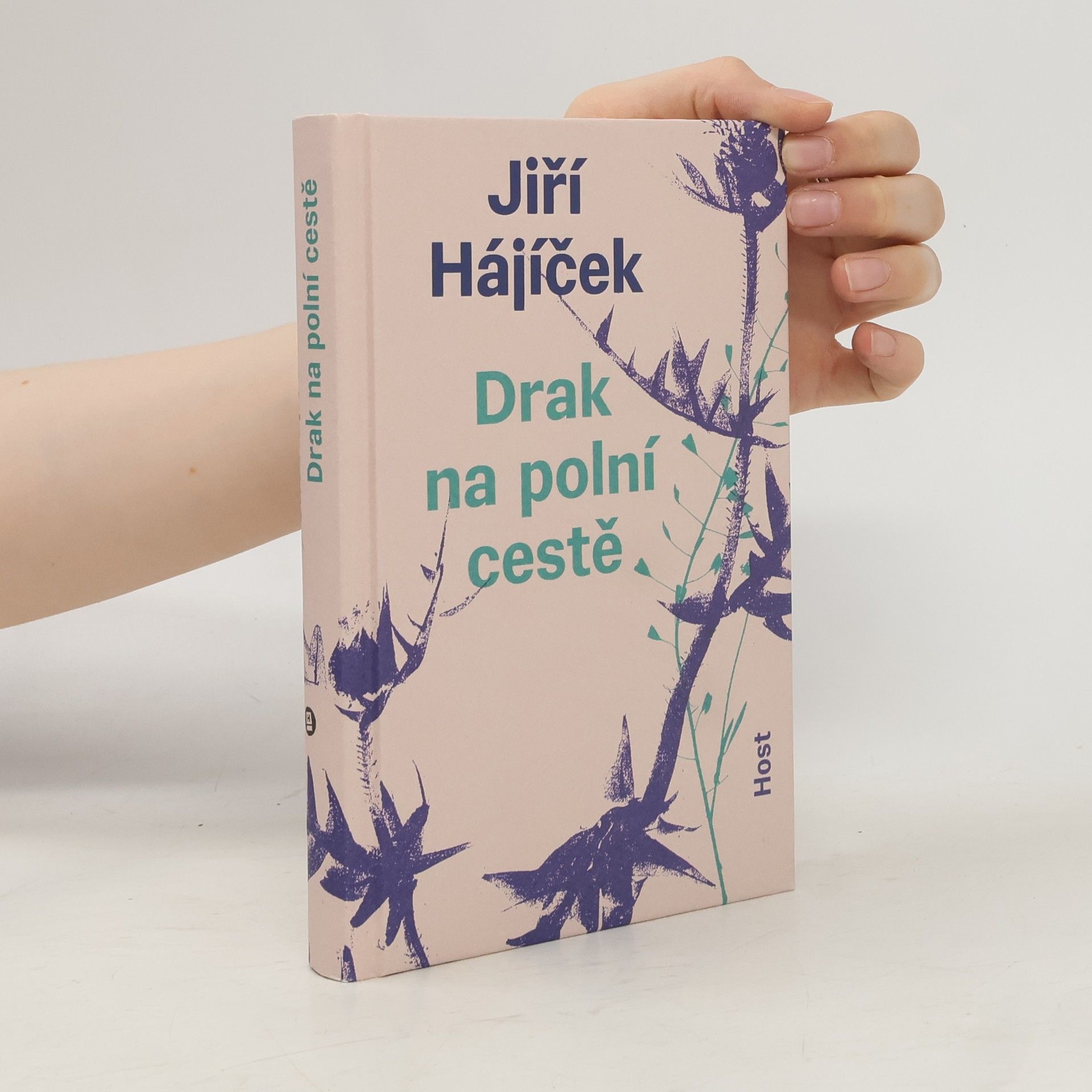 Jiří Hájíček Drak na polní cestě