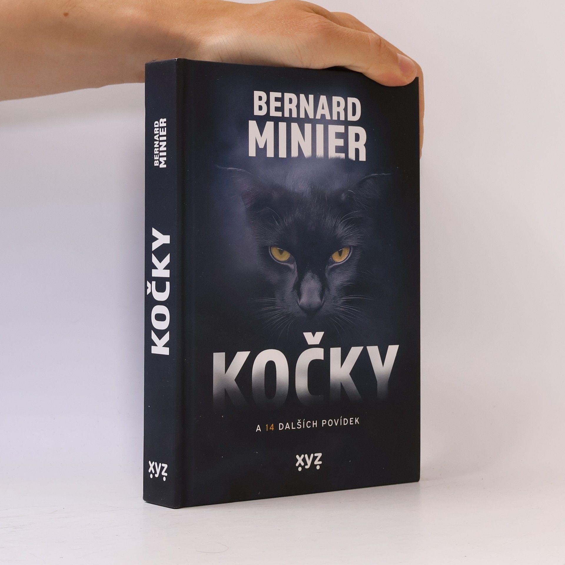 Kočky