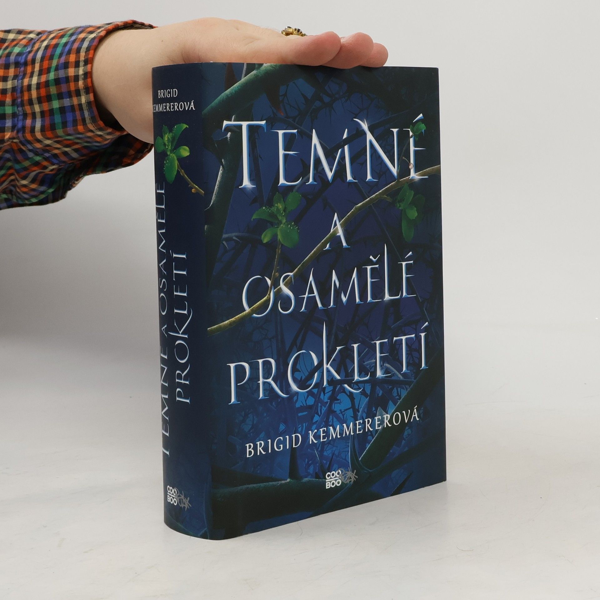 Brigid Kemmerer Temné a osamělé prokletí