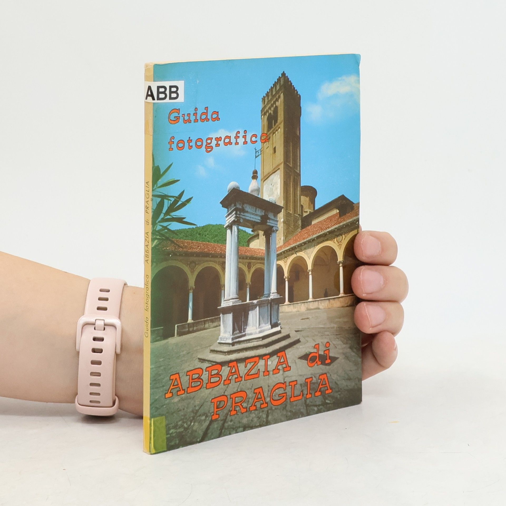 AA.VV. Guida Fotografica della Abbazia di Praglia