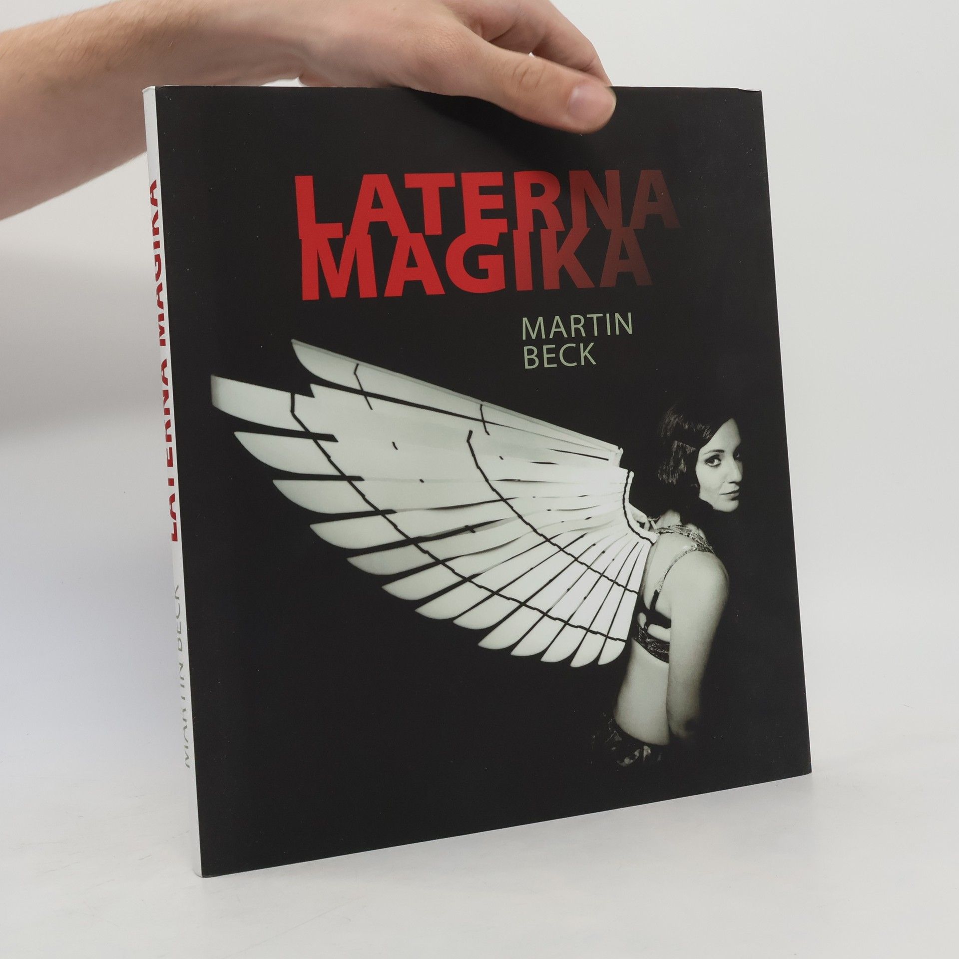 Martin Beck-Gasche Laterna magika