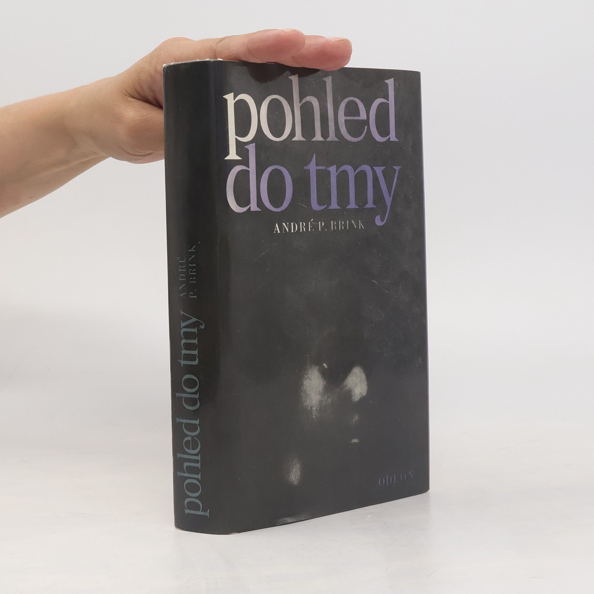 Helena Nebelová Pohled do tmy