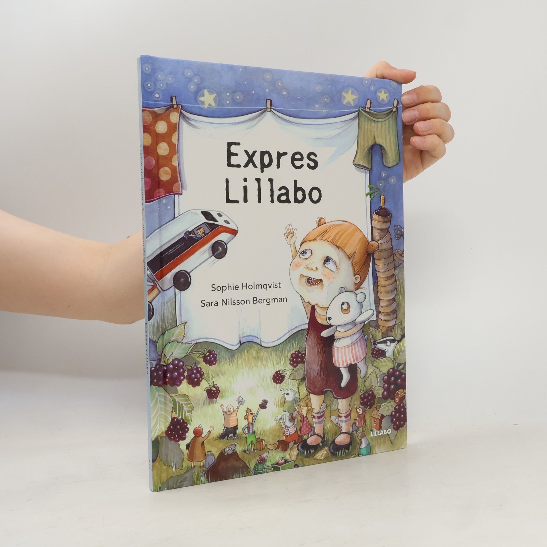 Sophie Holmqvist Expres Lillabo