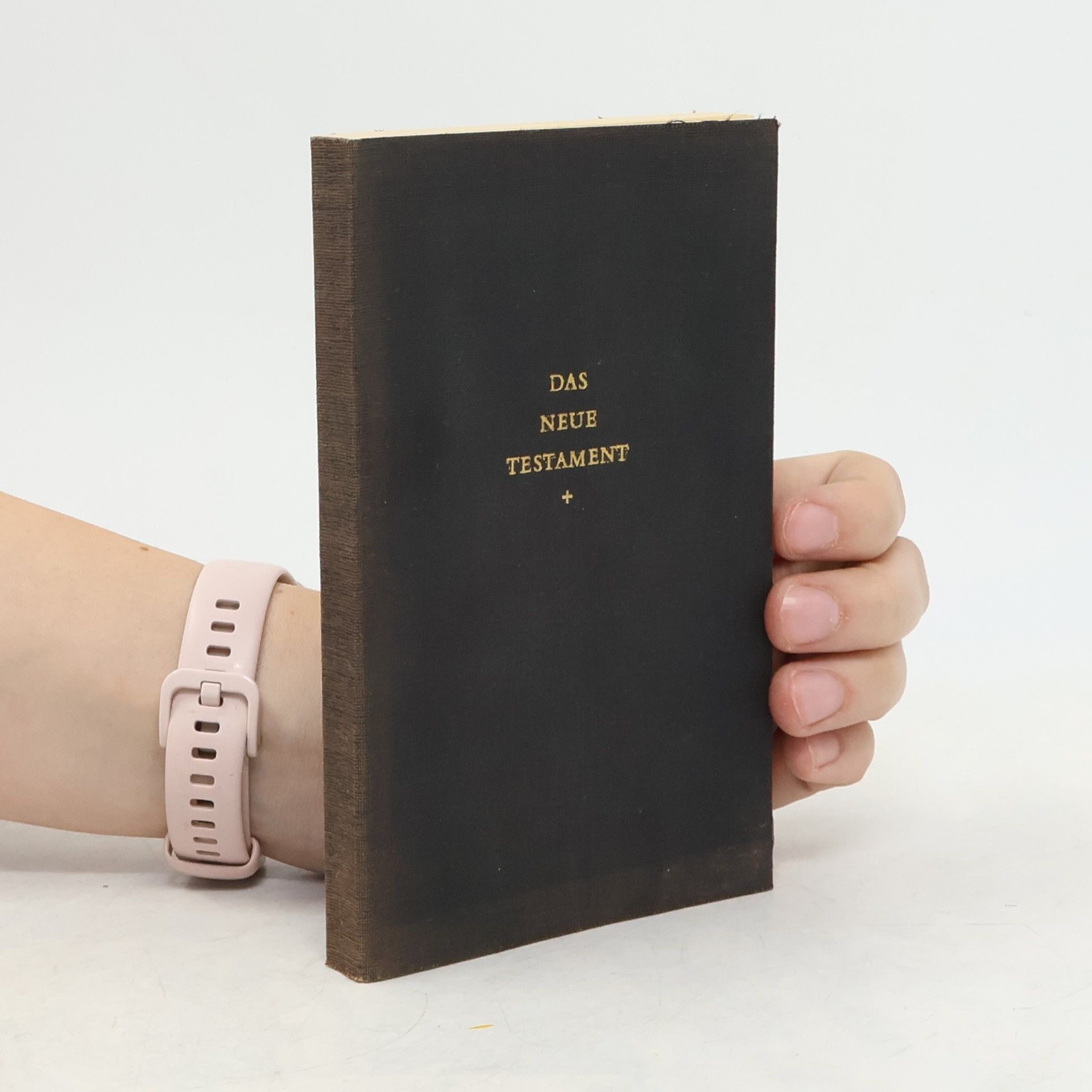 Autorenkollektiv Das Neue Testament
