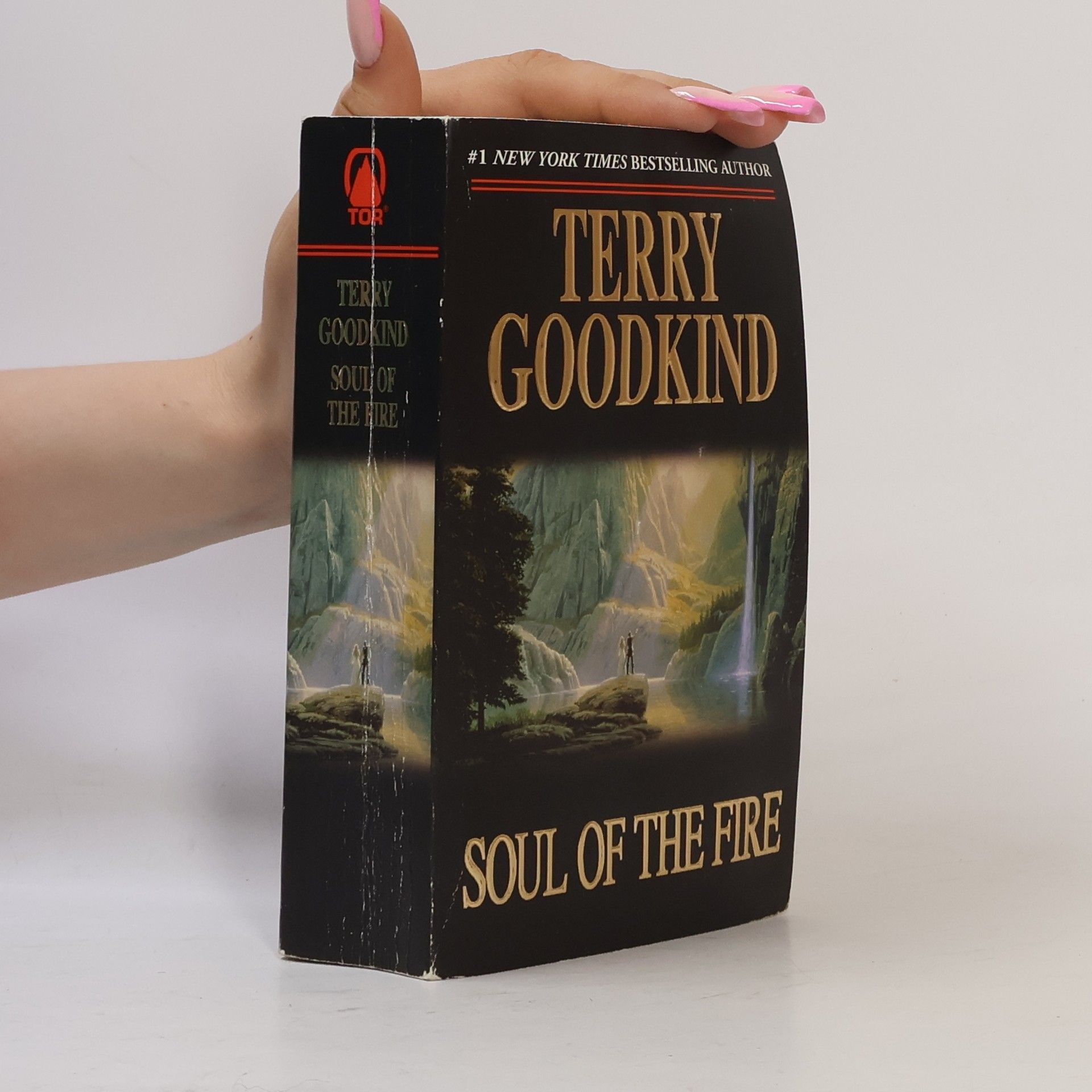 Terry Goodkind Soul of the Fire (5)