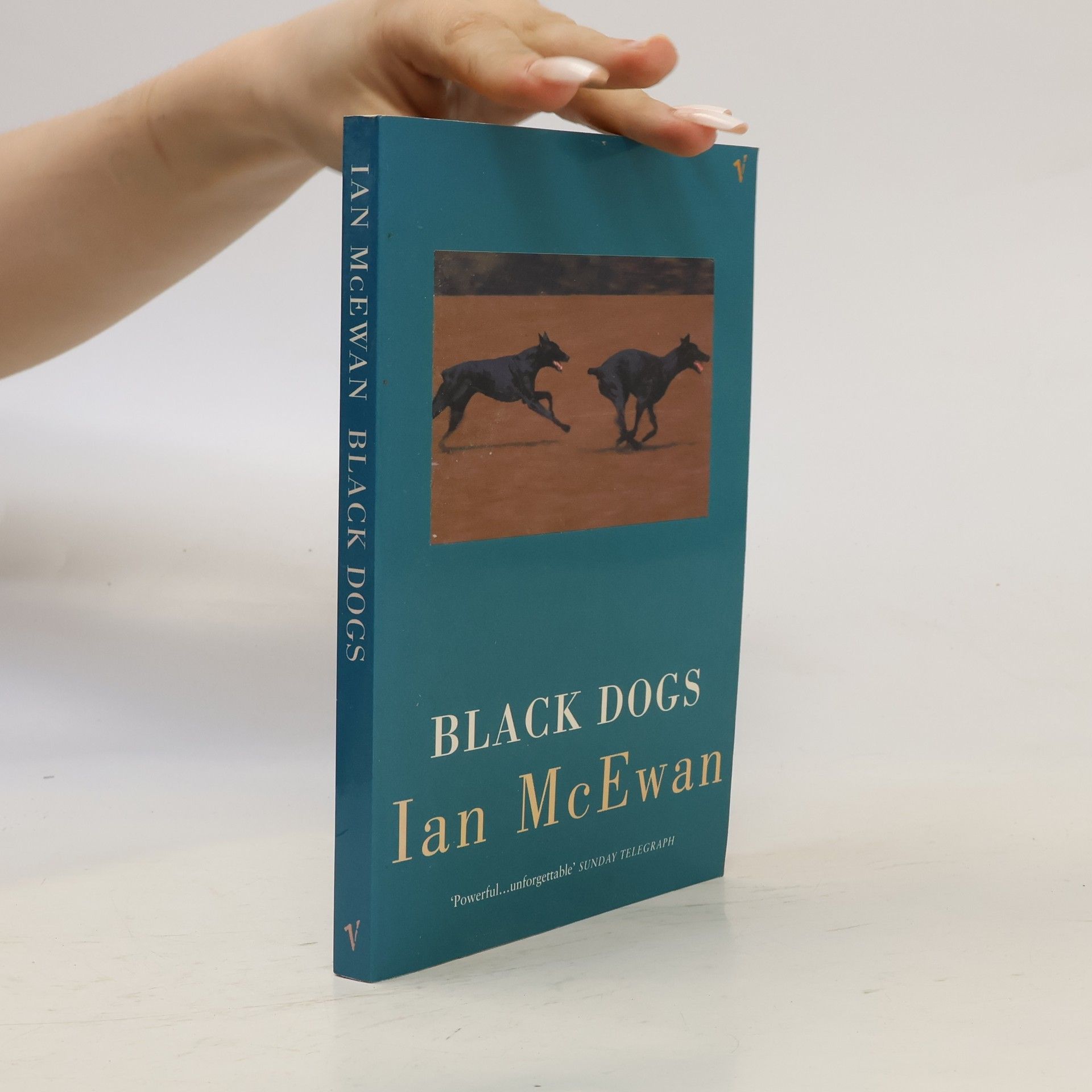 Ian McEwan Black dogs