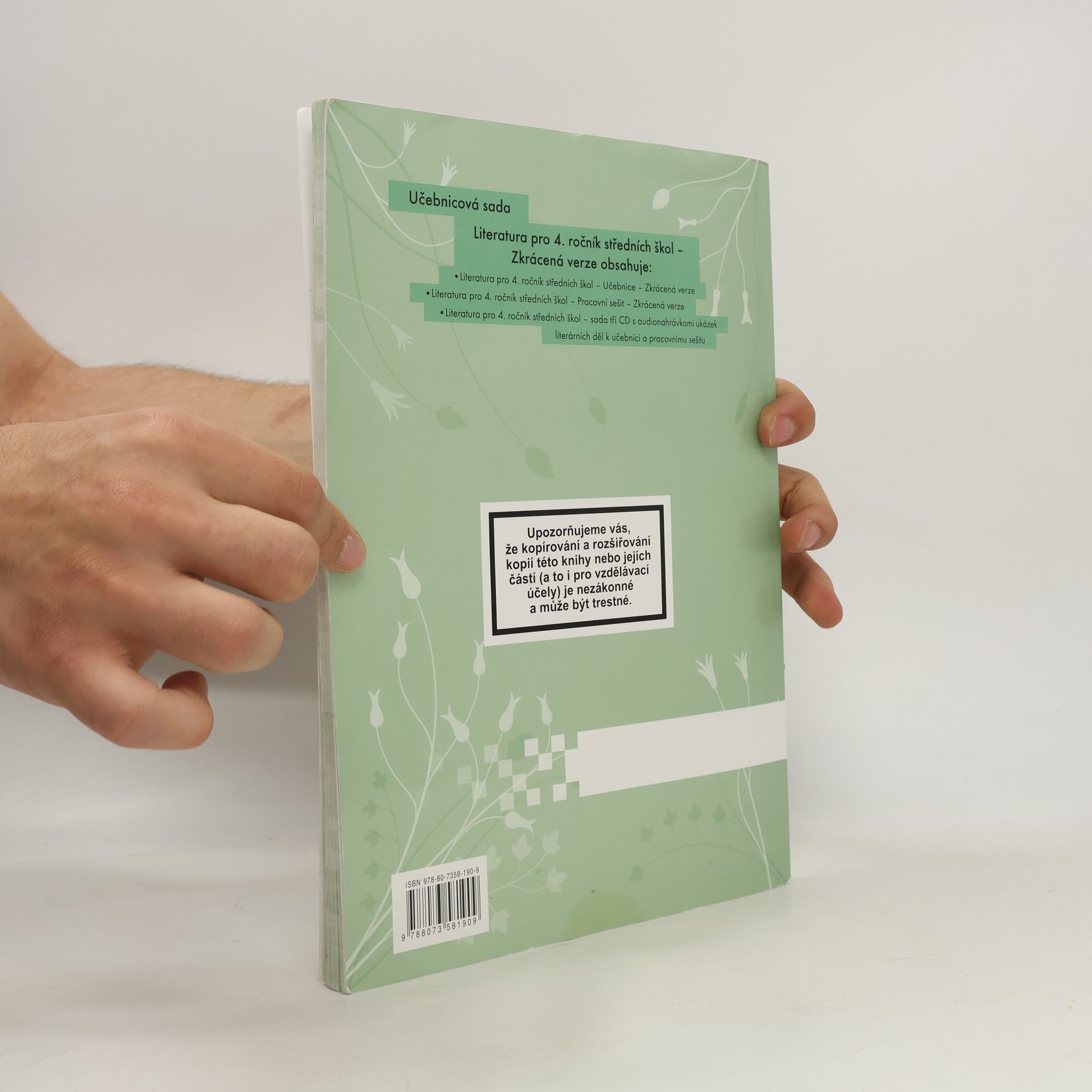 Denisa Nečasová Literatura pro 4. ročník středních škol. Pracovní sešit