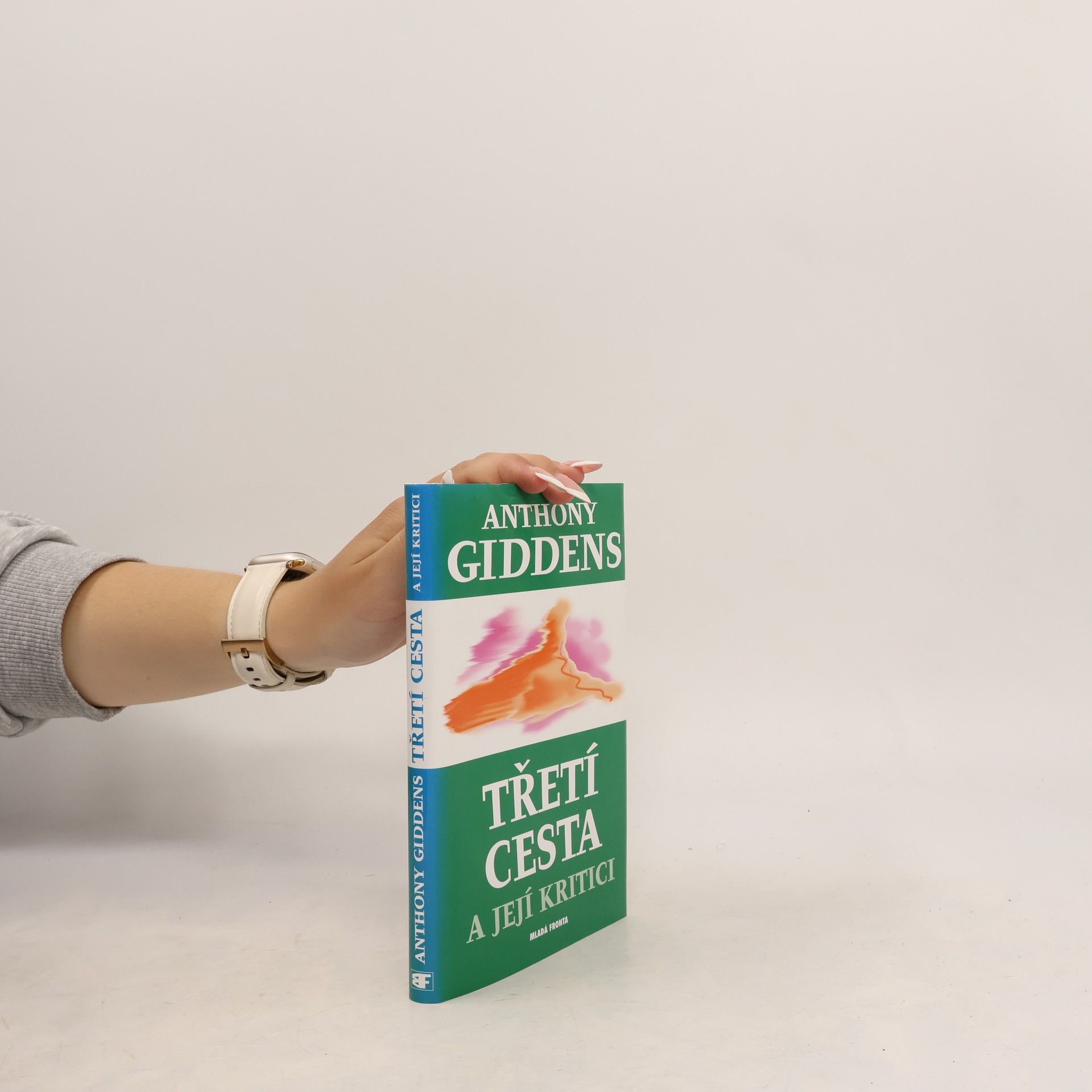 Třetí cesta a její kritici