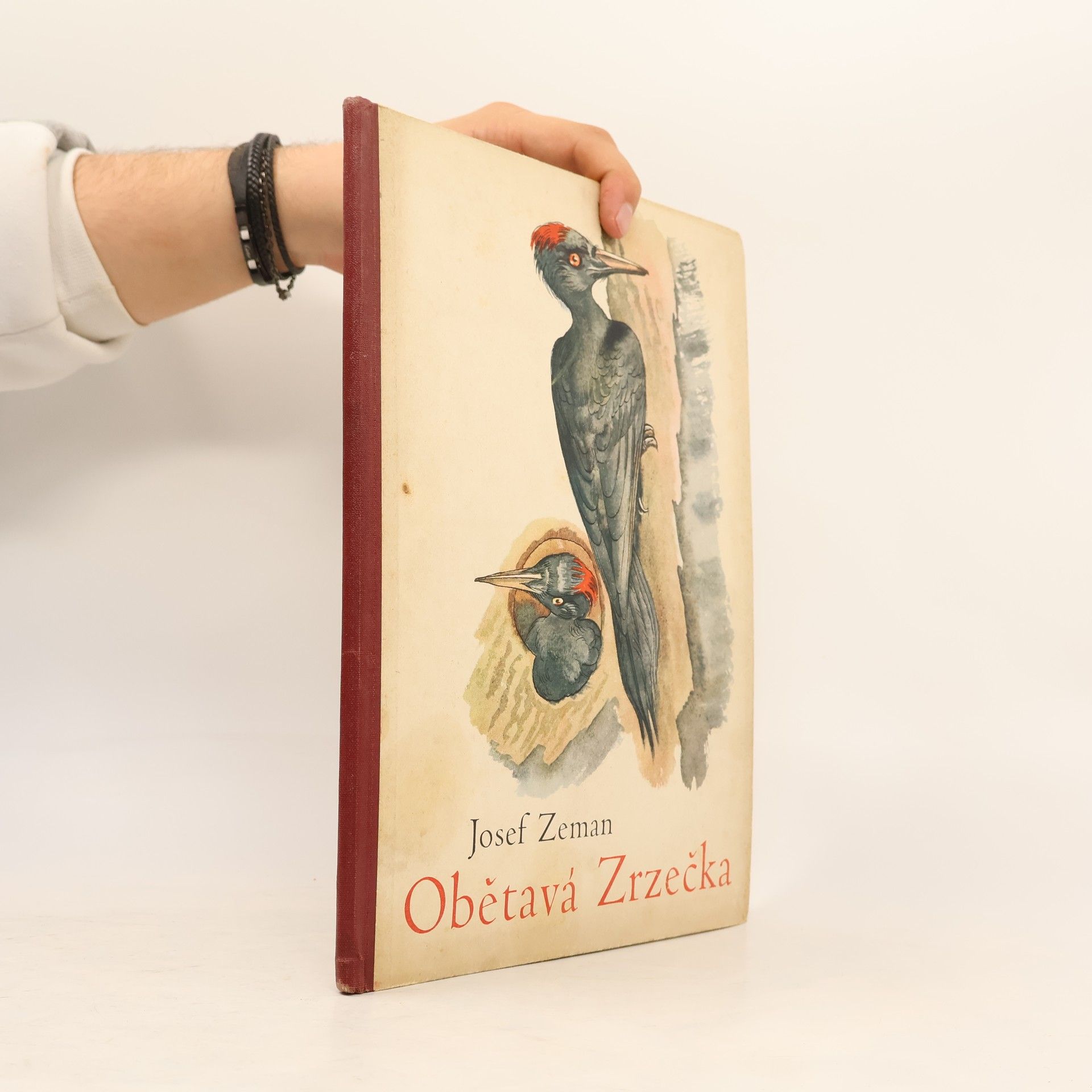 Josef Zeman Obětavá Zrzečka