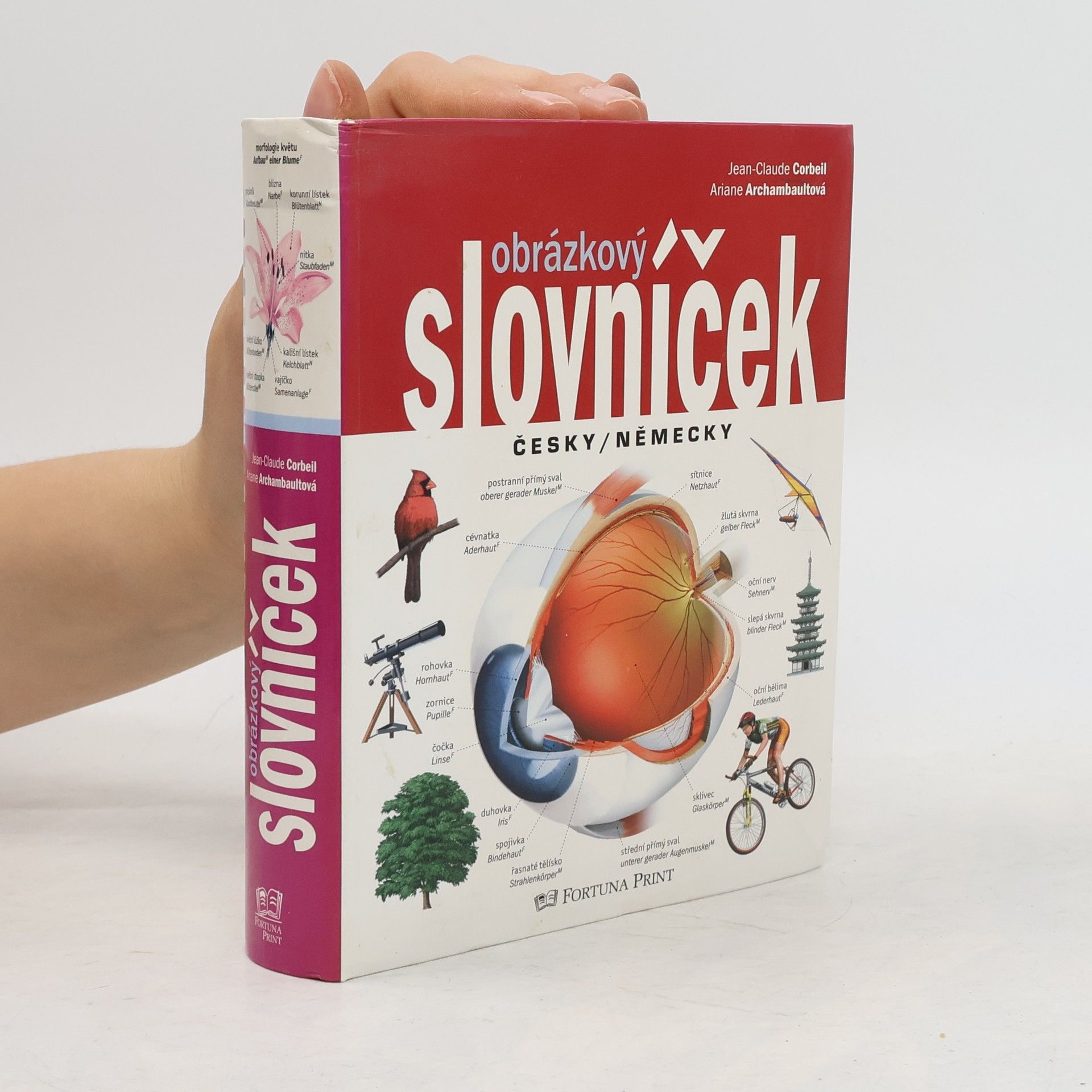 Obrázkový slovníček česky/německy