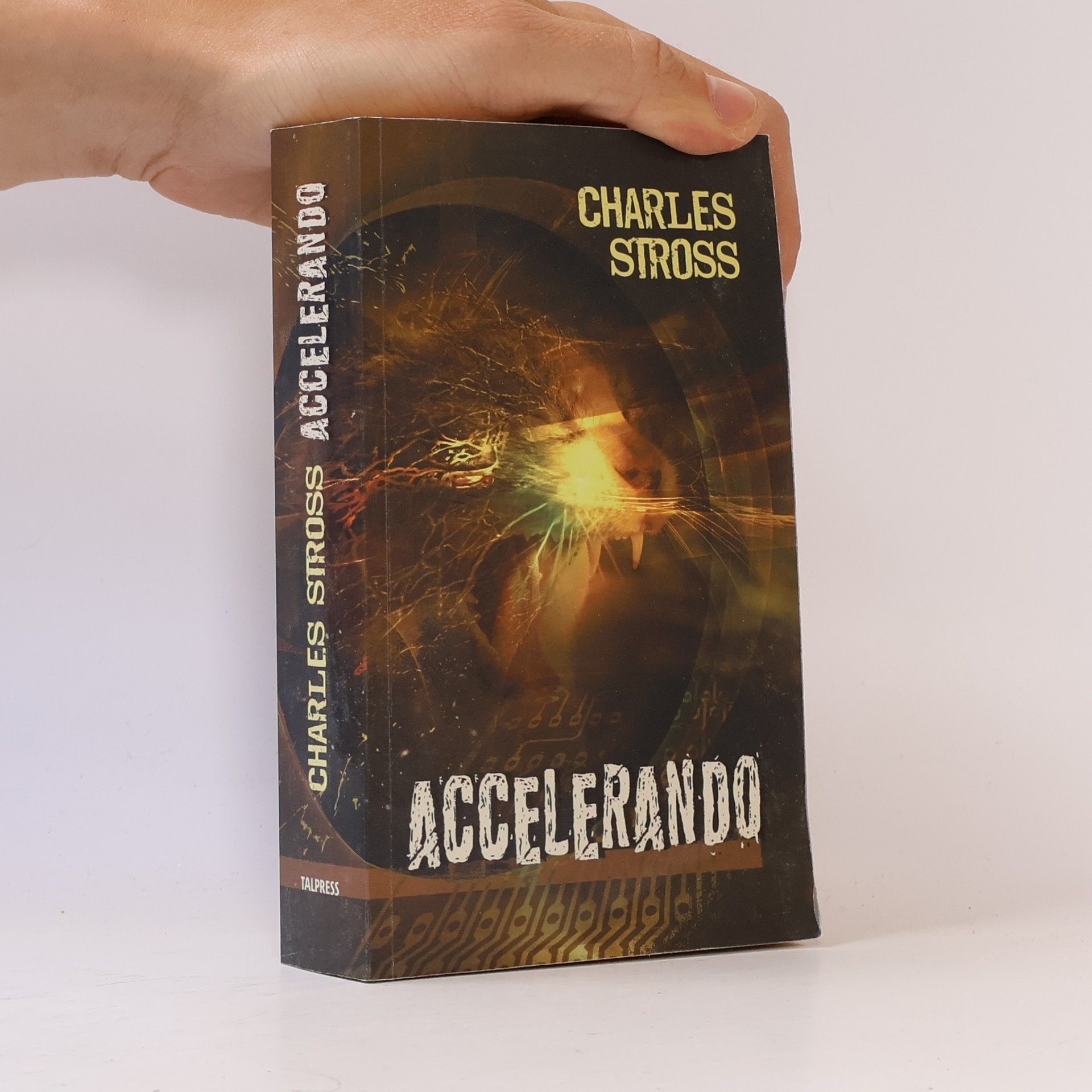 Charles Stross Accelerando
