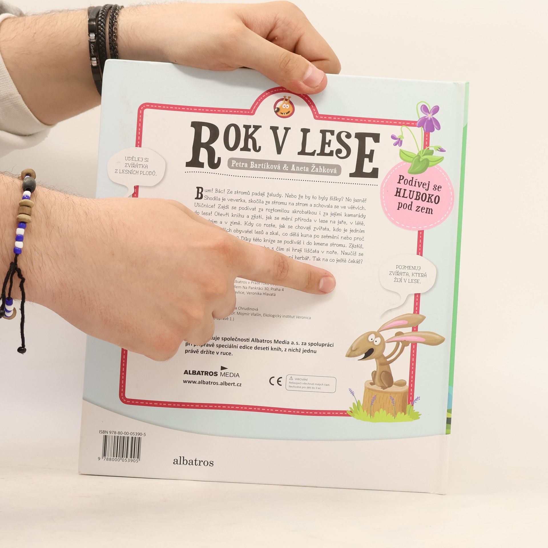 Autorenkollektiv Rok v lese