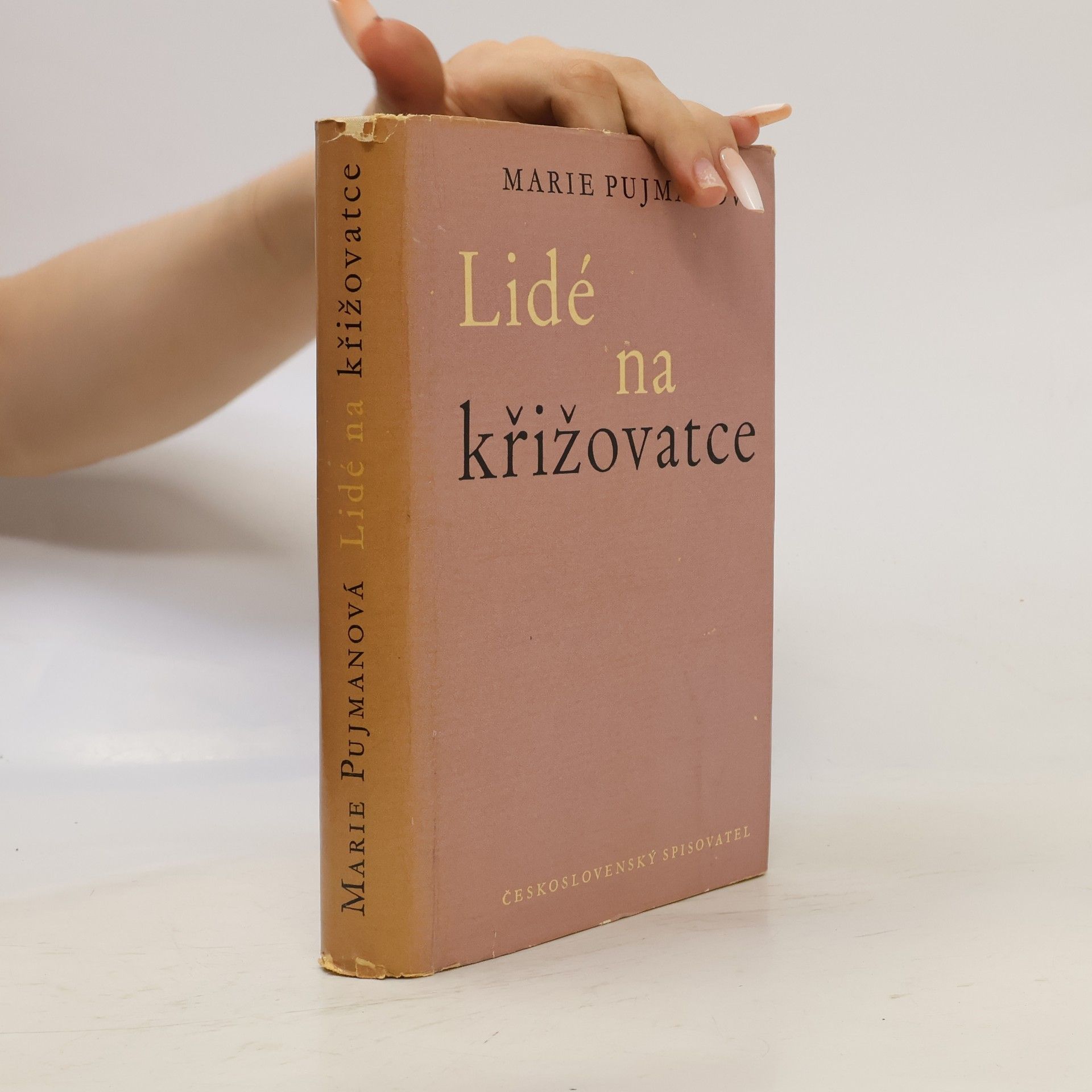 Marie Pujmanová Lidé na křižovatce
