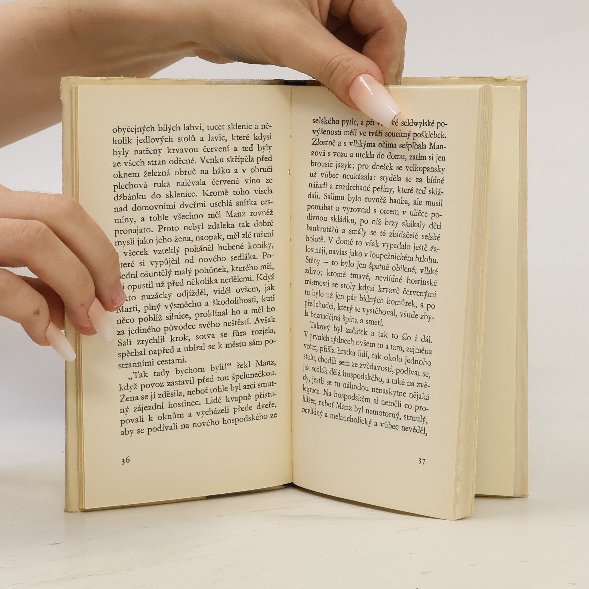 Gottfried Keller Romeo a Julie na vsi