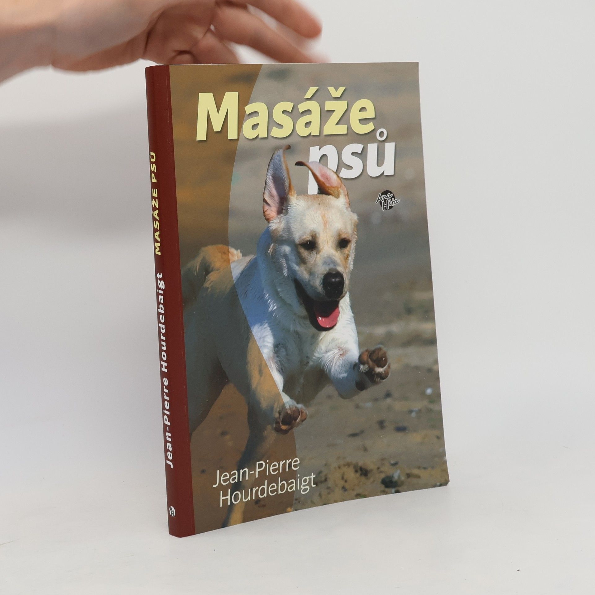 Masáže psů