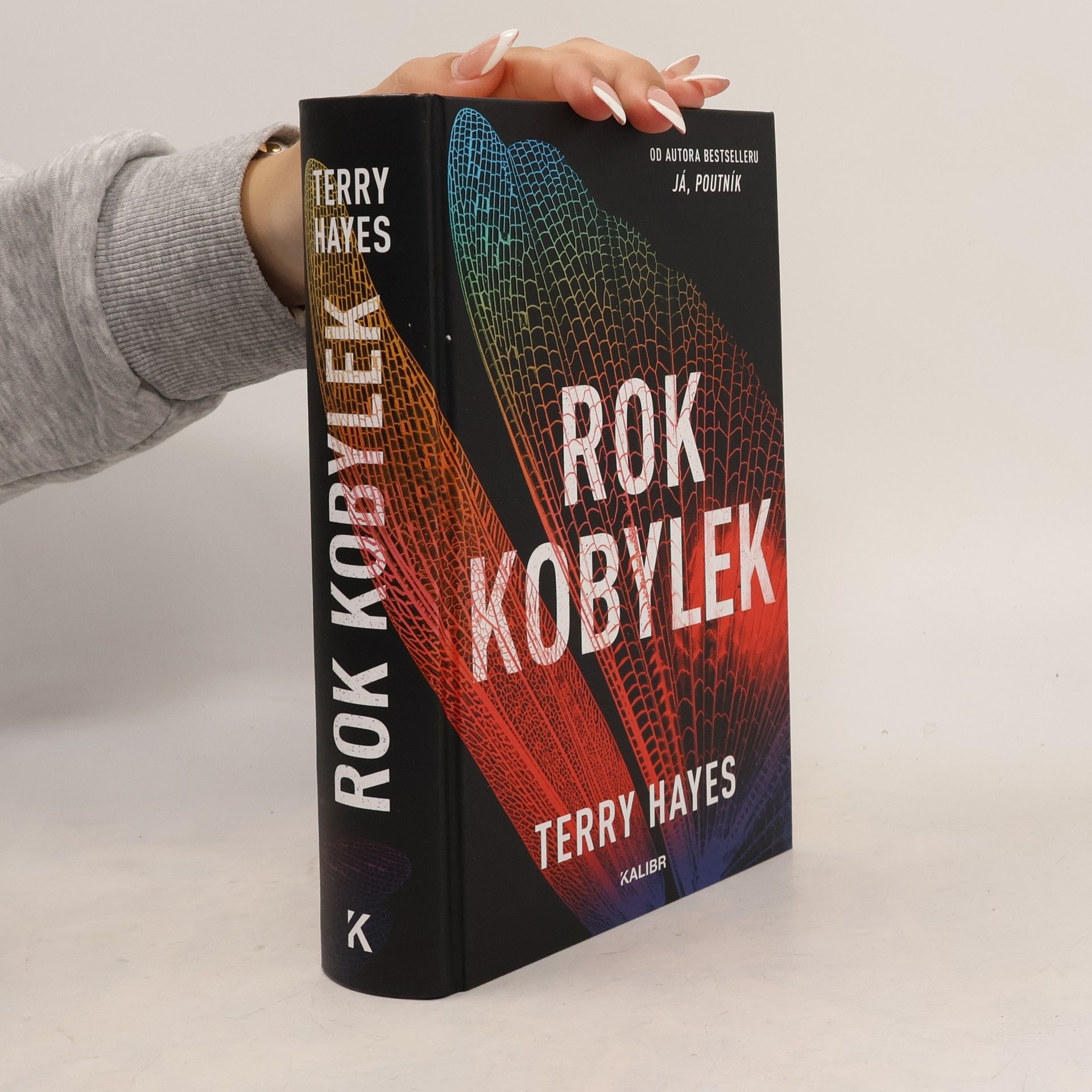 Terry Hayes Rok kobylek