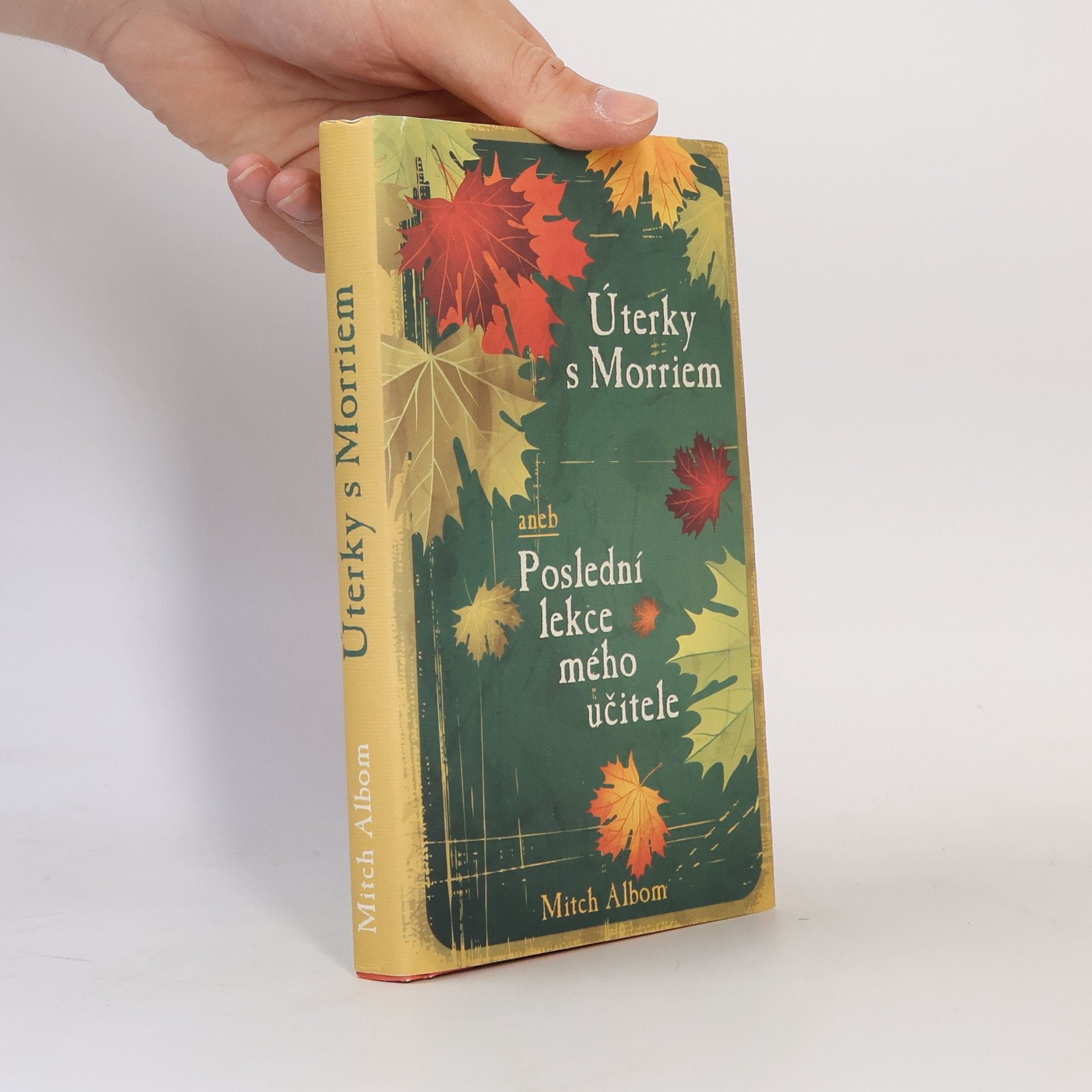 Mitch Albom Úterky s Morriem