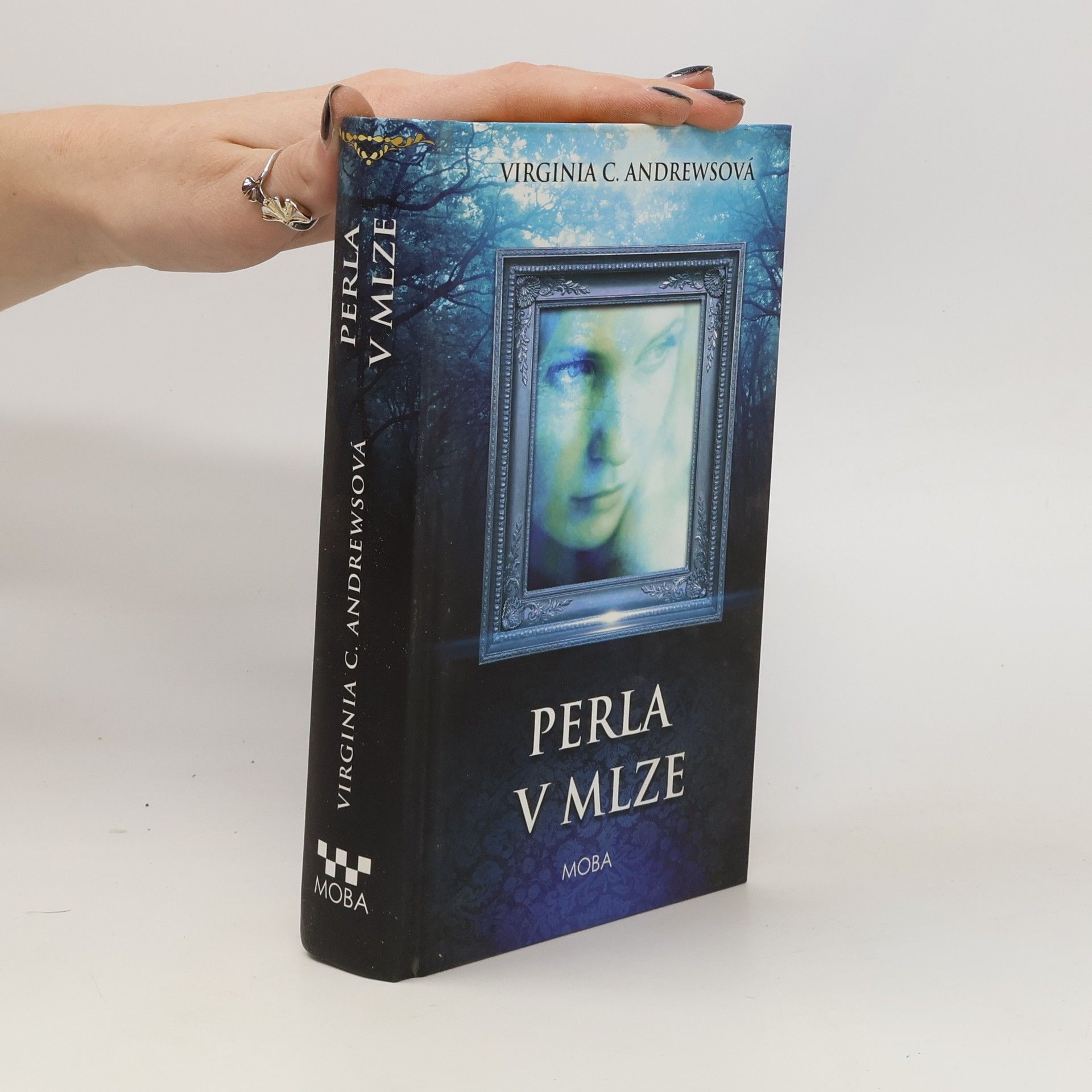 V. C. Andrews Perla v mlze