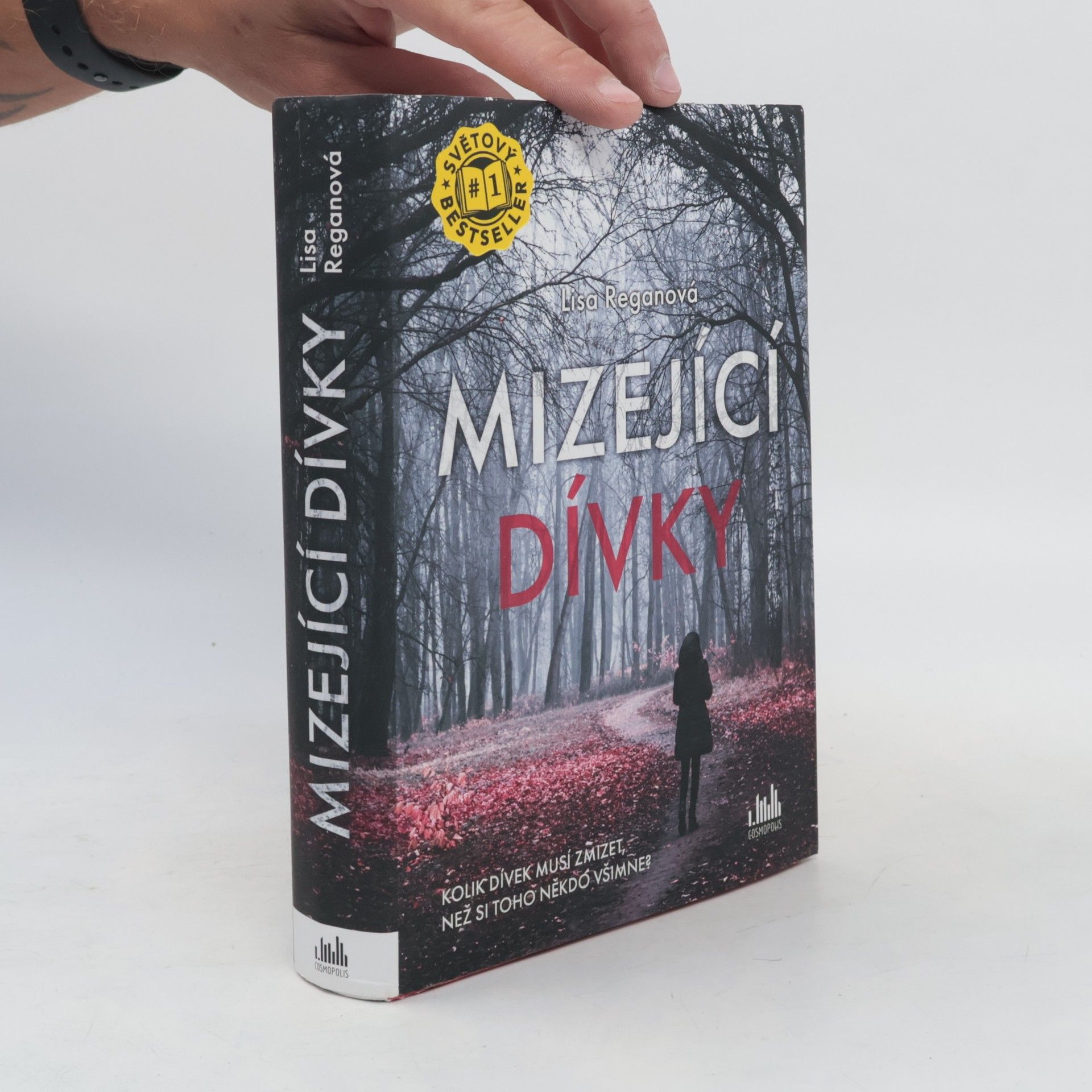 Lisa Regan Mizející dívky