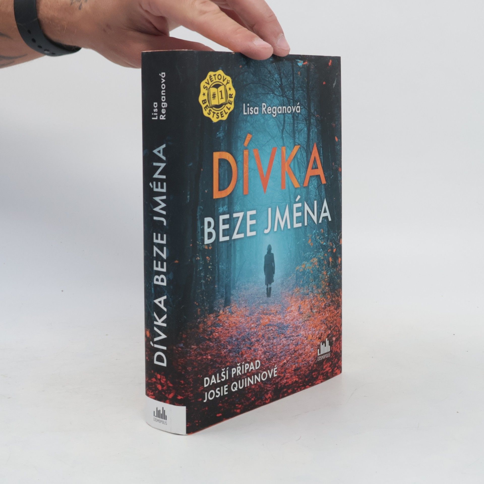 Lisa Regan Dívka beze jména: Další případ Josie Quinnové