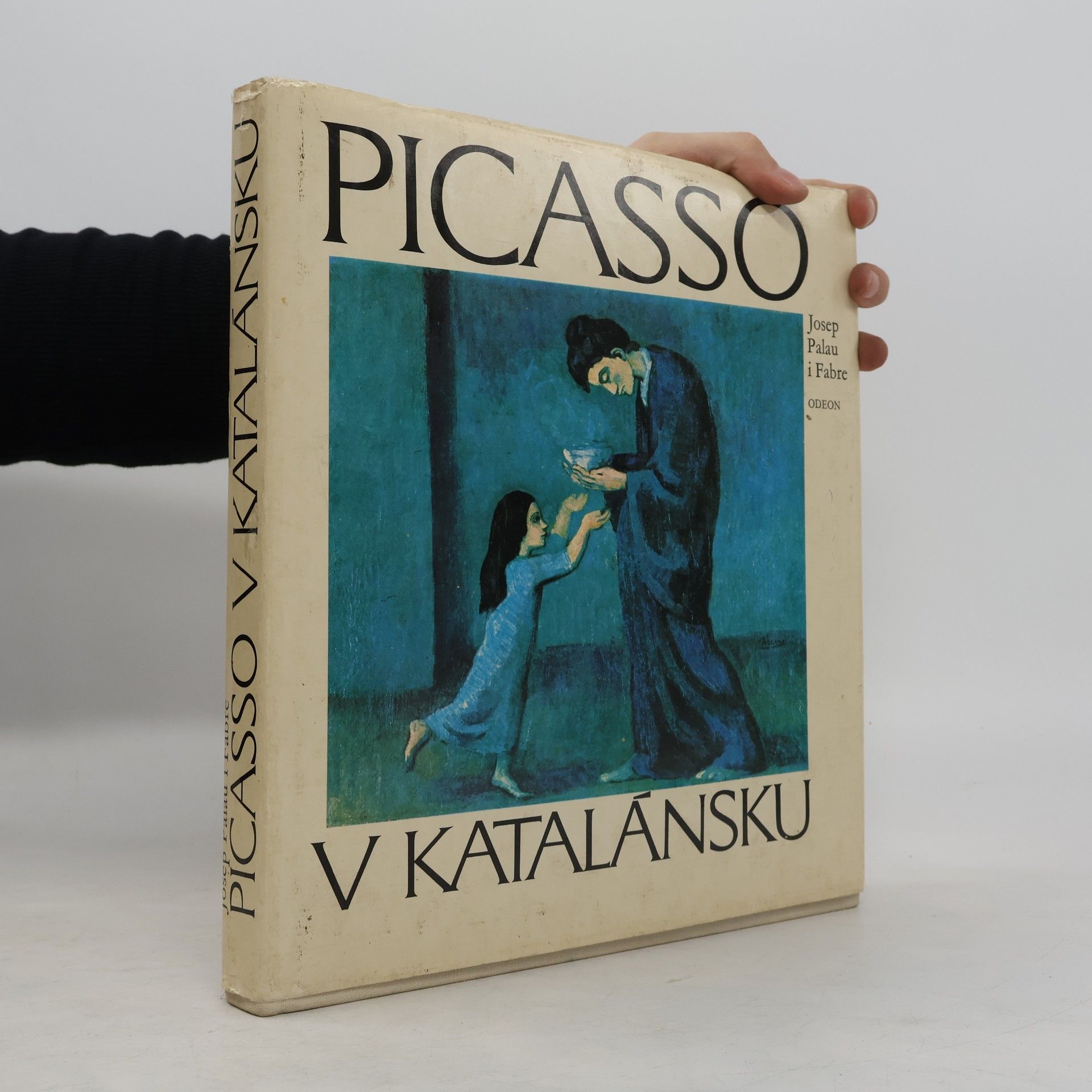 Josep Palau i Fabre Picasso v Katalánsku