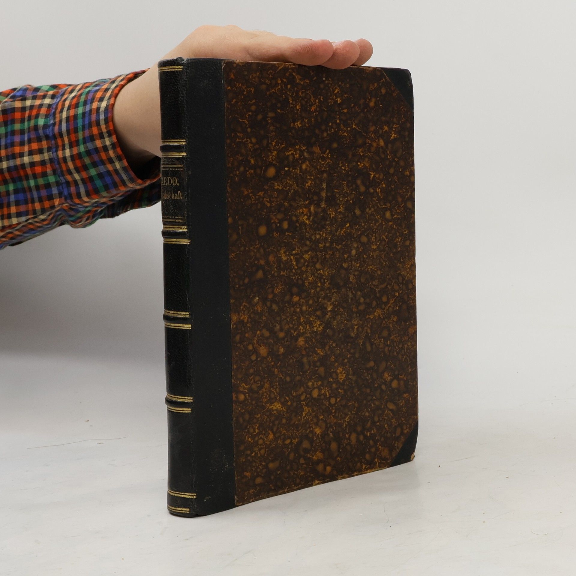 Edward Baumstark David Ricardo's Grundgesetze der Volkswirthschaft und Besteuerung. Band 1