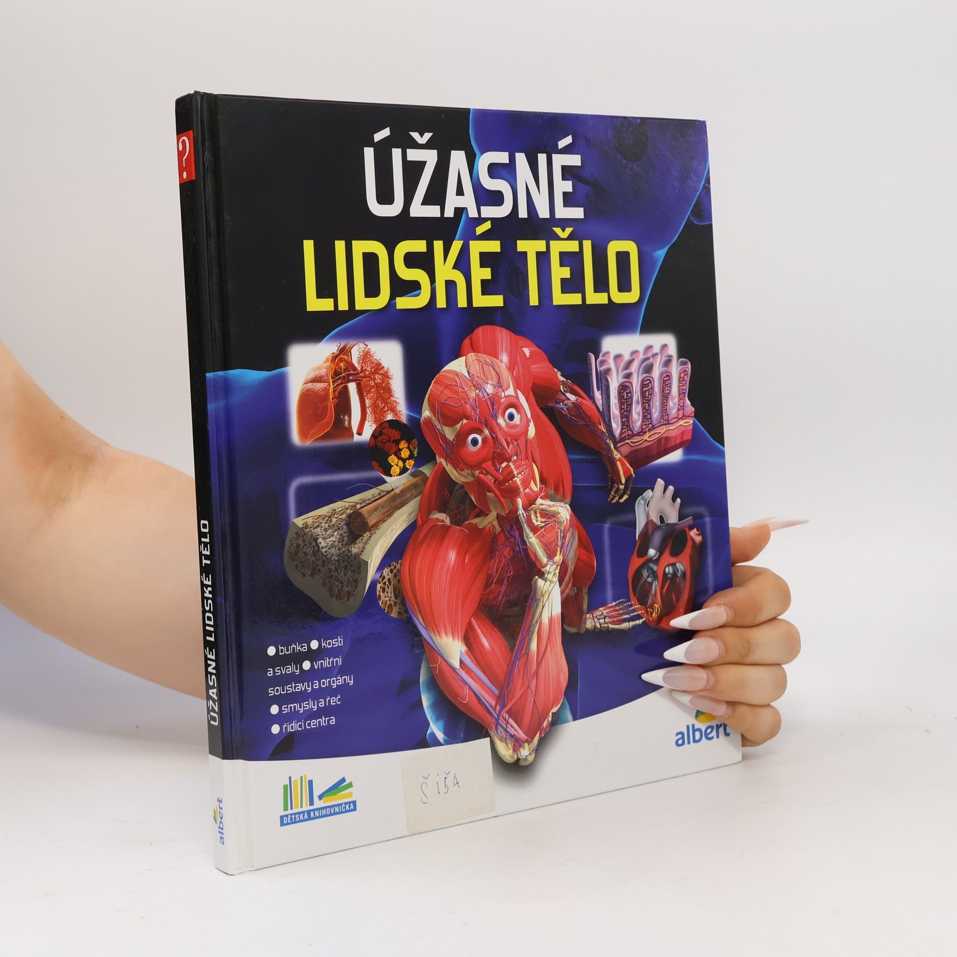 Autorenkollektiv Úžasné lidské tělo - Jak to funguje?