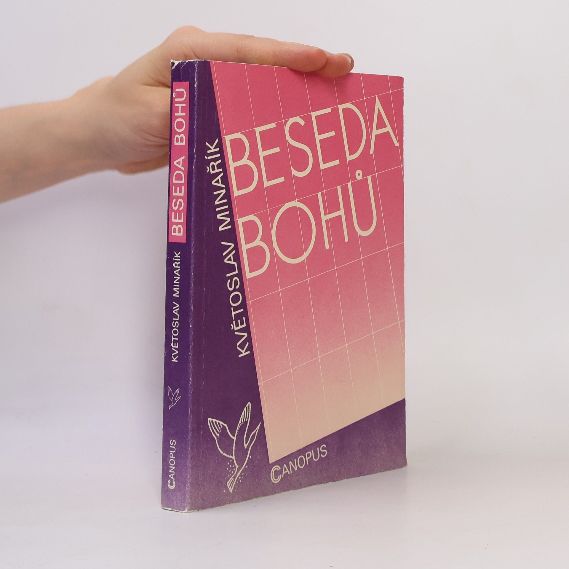 Květoslav Minařík Beseda bohů