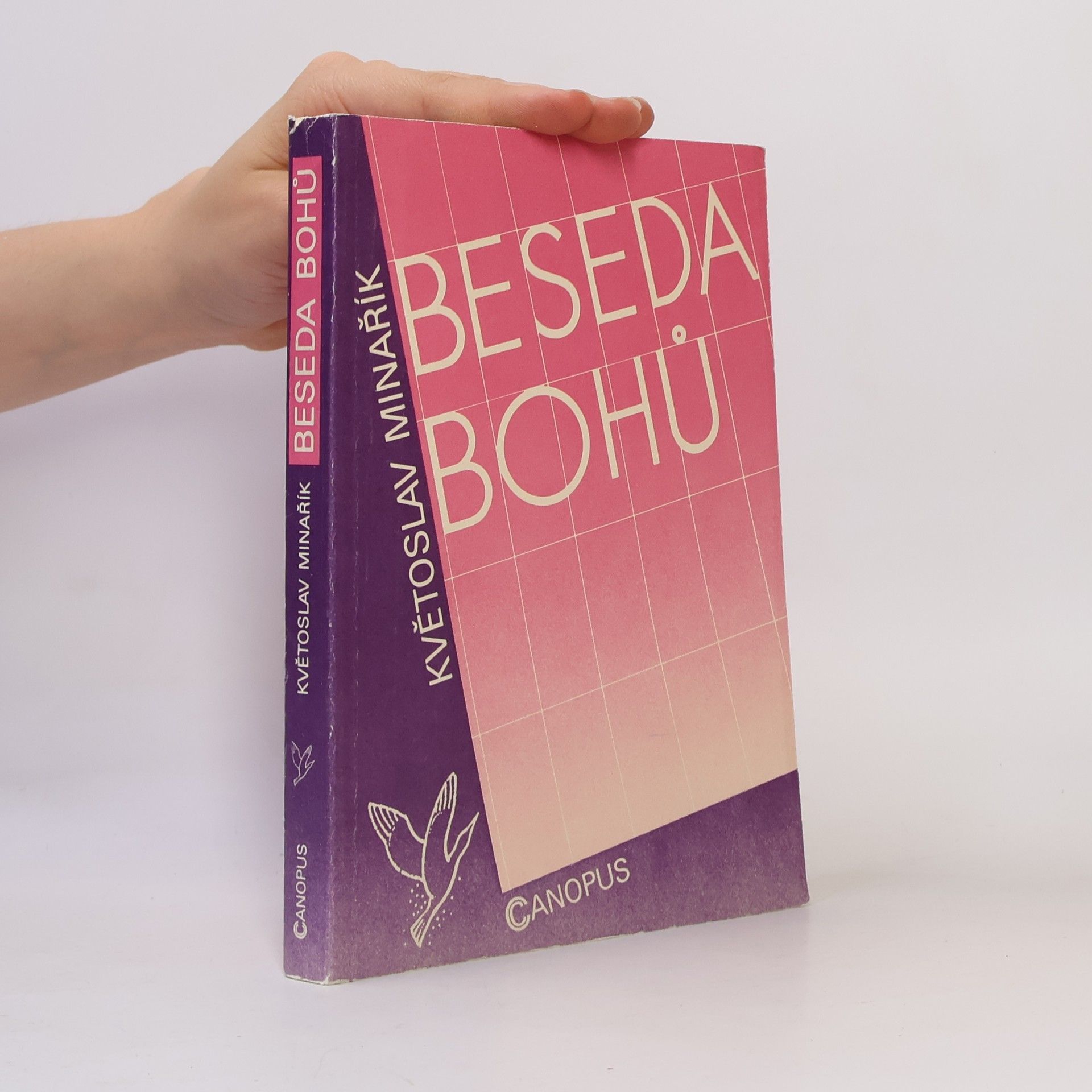 Květoslav Minařík Beseda bohů