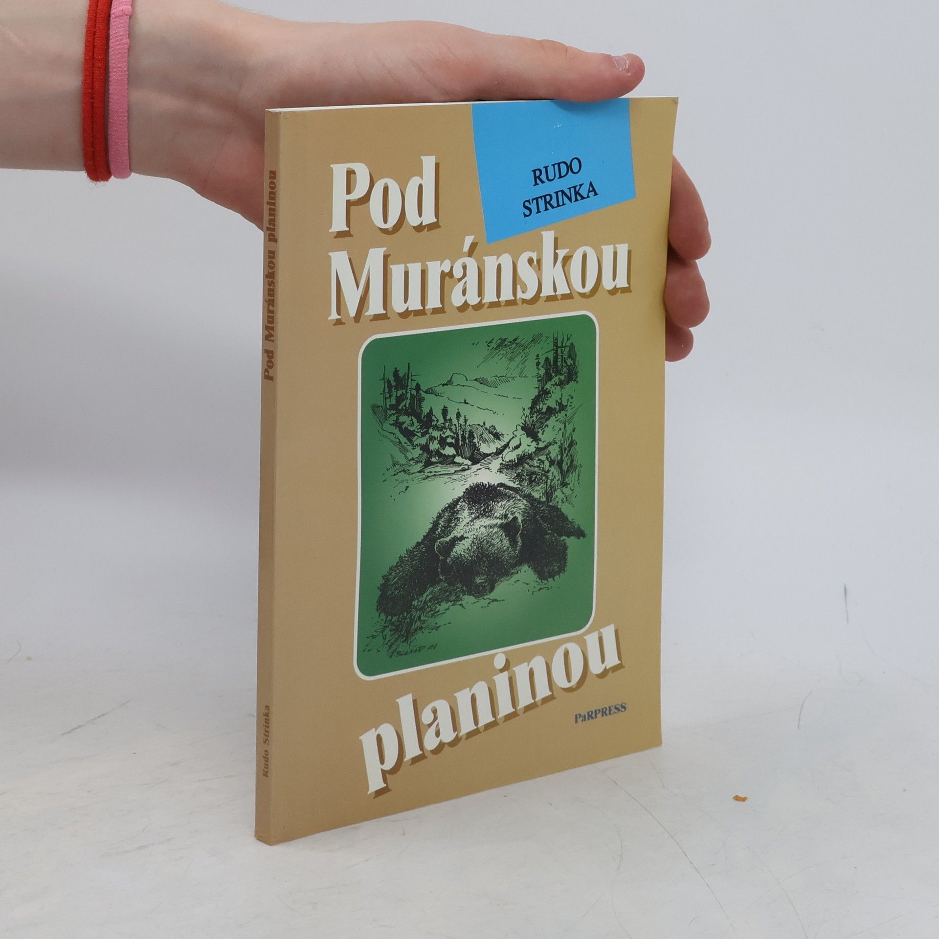 Rudo Strinka Pod Muránskou planinou