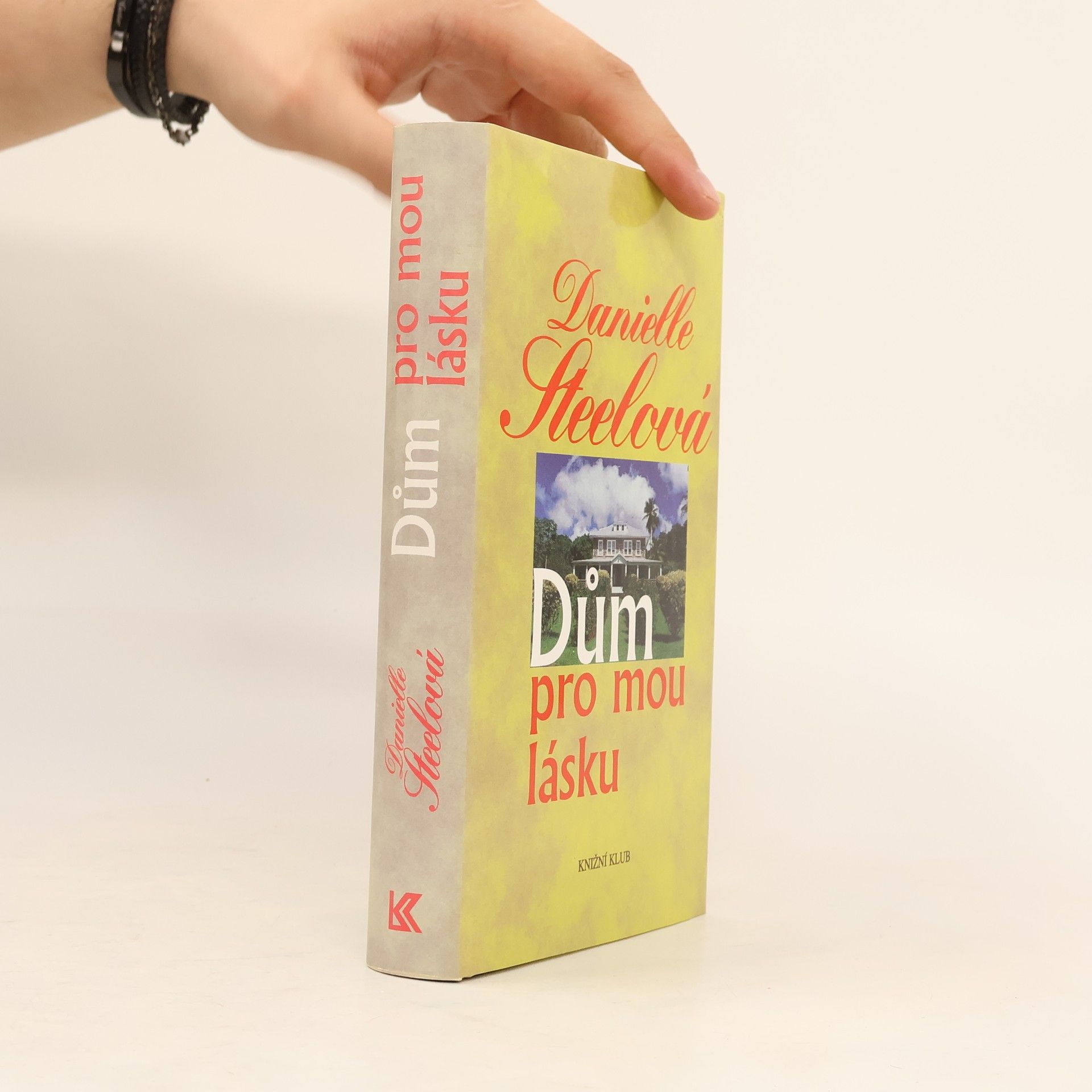 Danielle Steel Dům pro mou lásku