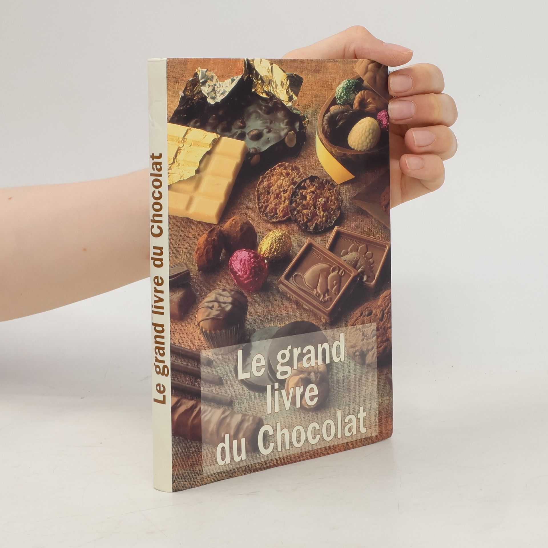 Sylvie Boizet Le grand livre du chocolat