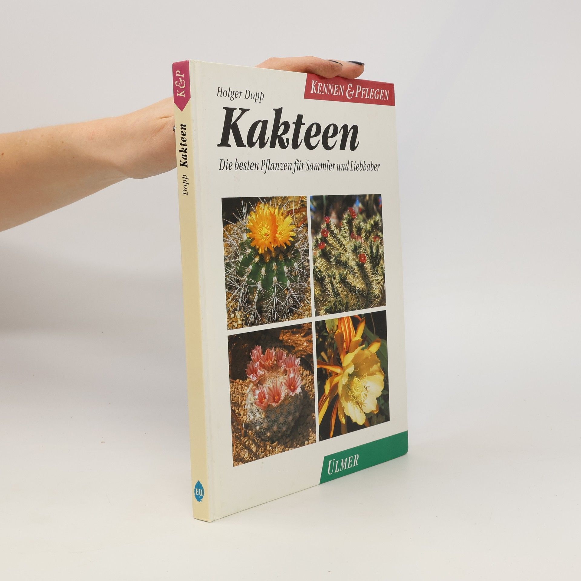 Holger Dopp Kakteen