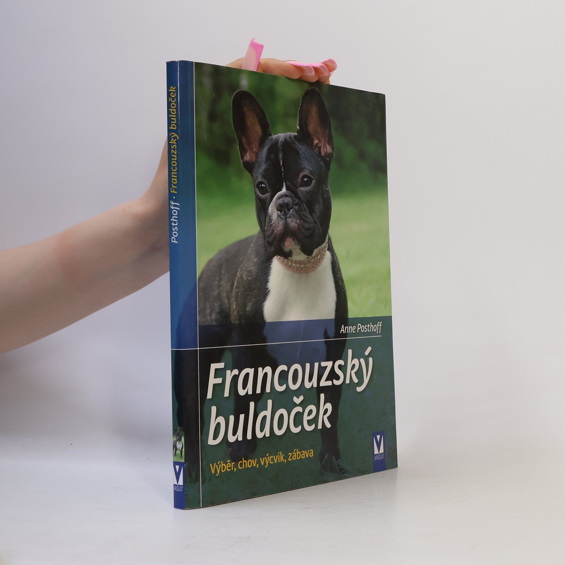 Francouzský buldoček. Výběr, chov, výcvik, zábava