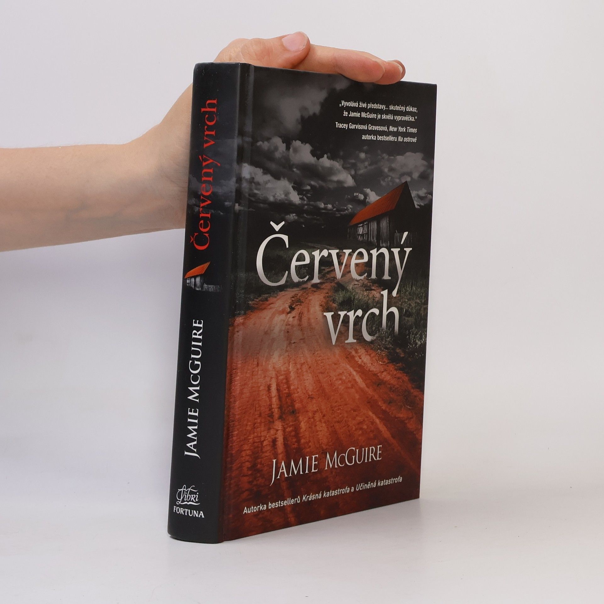 Jamie McGuire Červený vrch