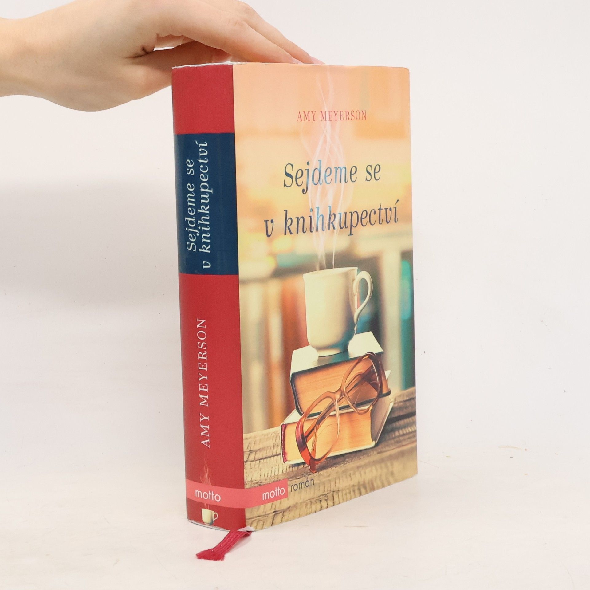 Amy Meyerson Sejdeme se v knihkupectví