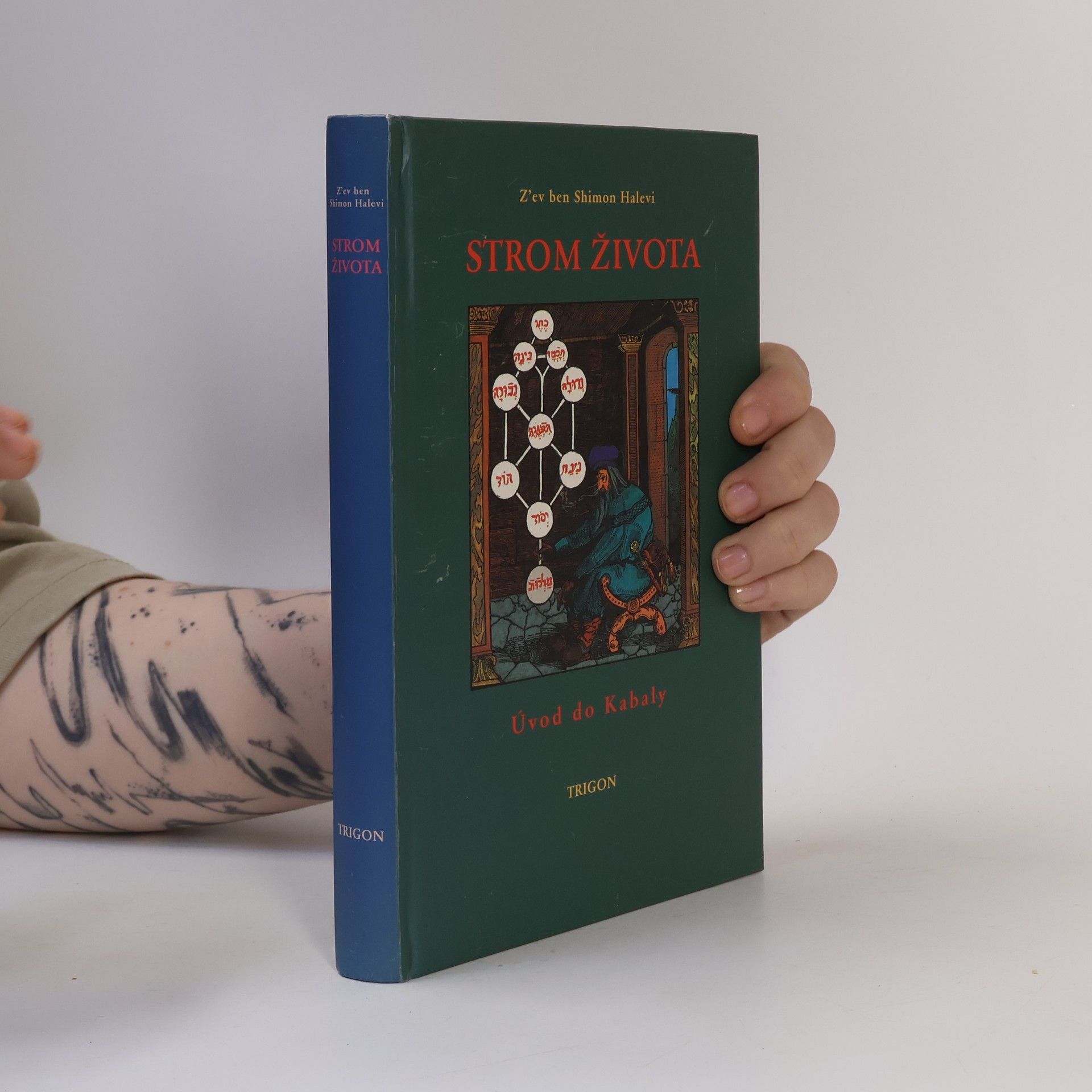 Zev Ben-Shimon Halevi Strom života : úvod do Kabaly