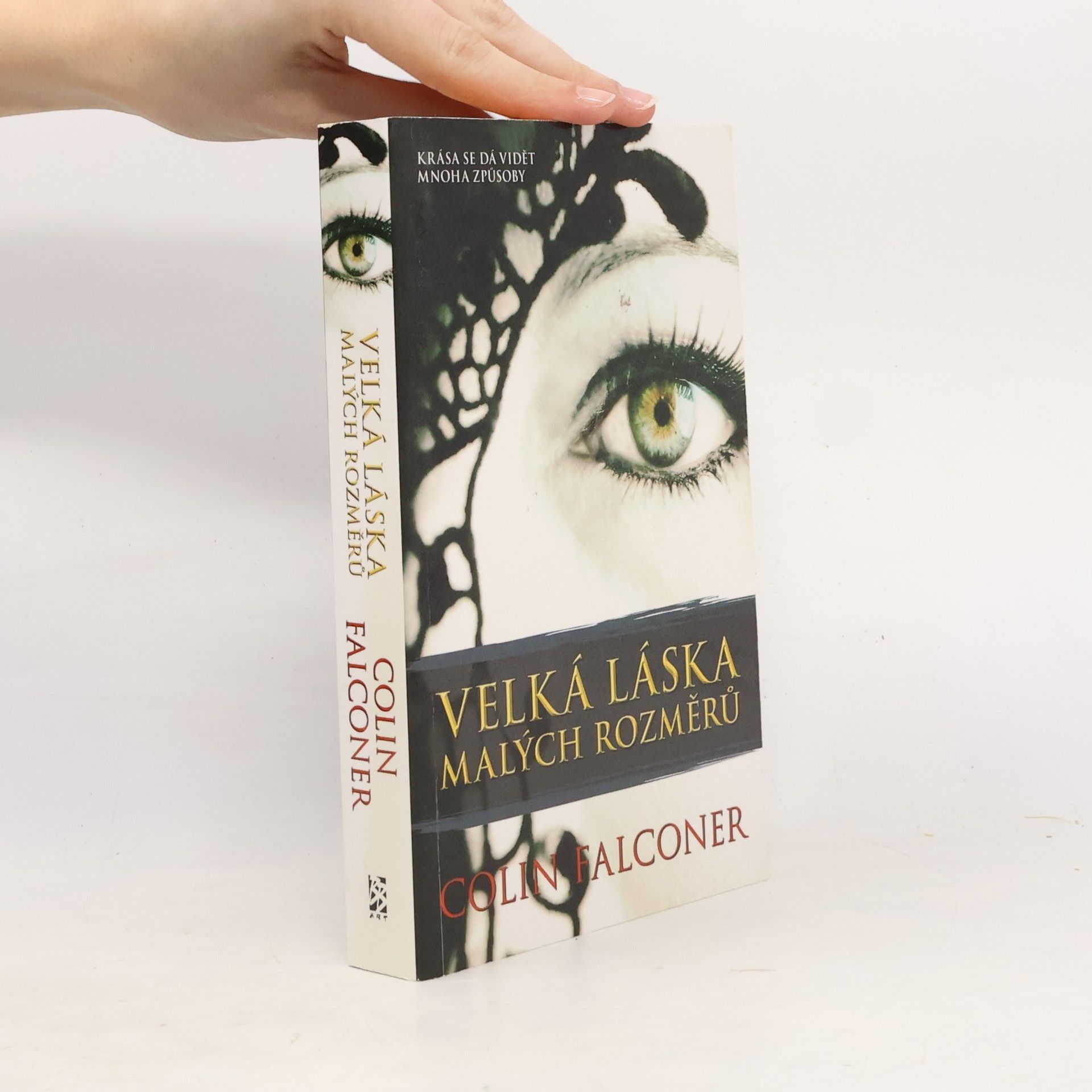 Colin Falconer Velká láska malých rozměrů
